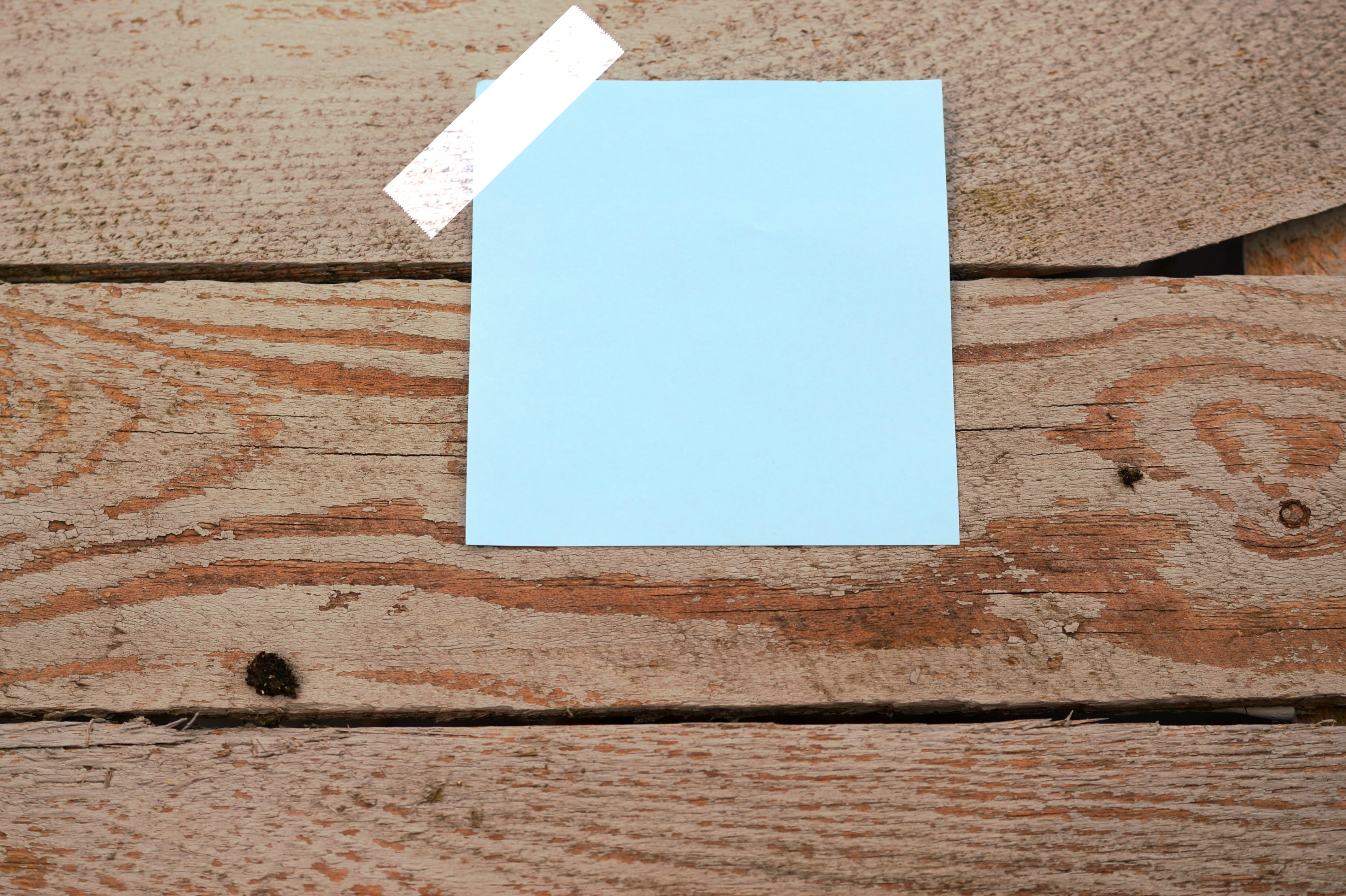 feedback, note, stickies, list, message, text box, empty, paper