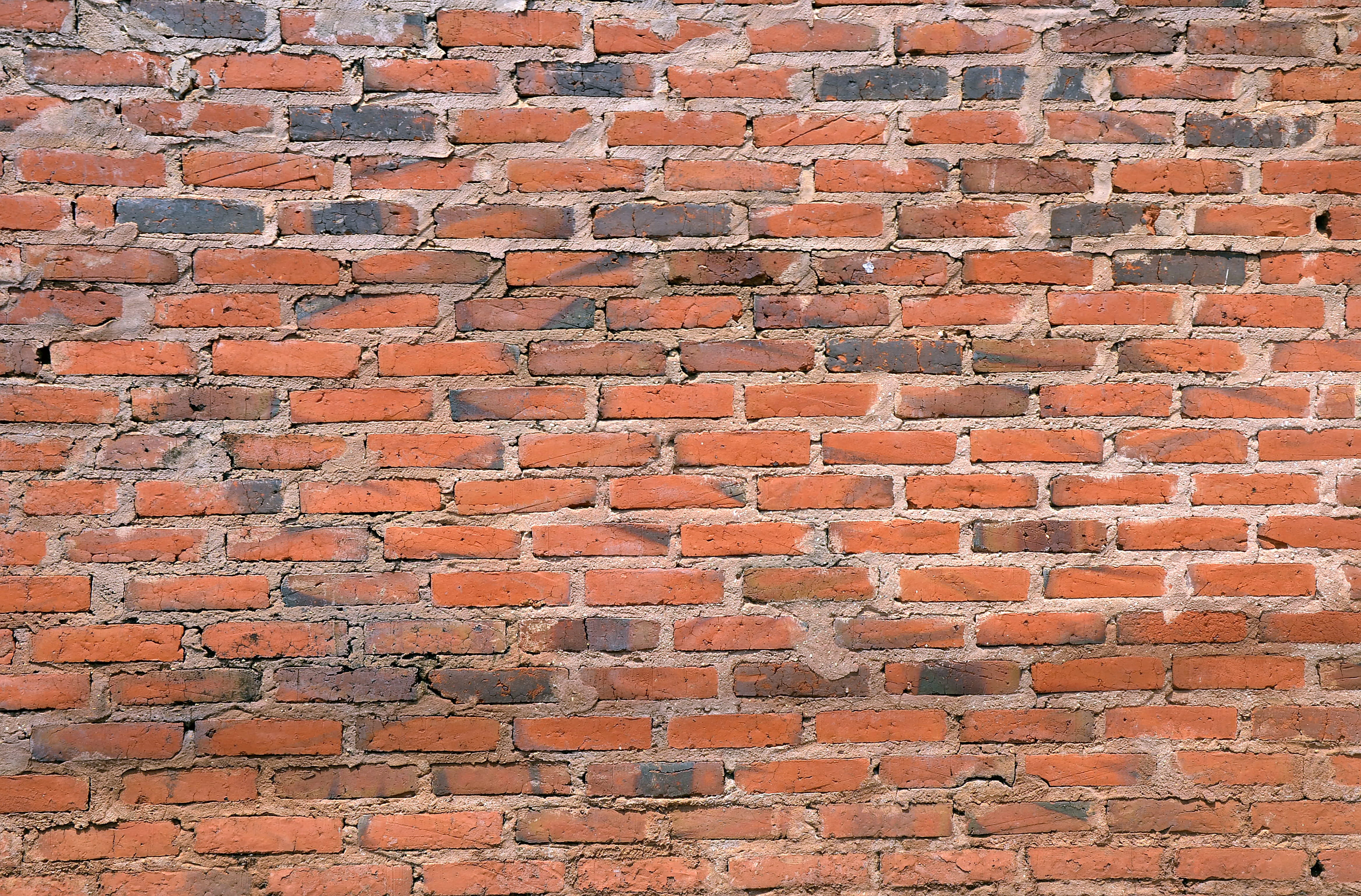 wall, bricks, common, texture, common brick, full frame, backgrounds