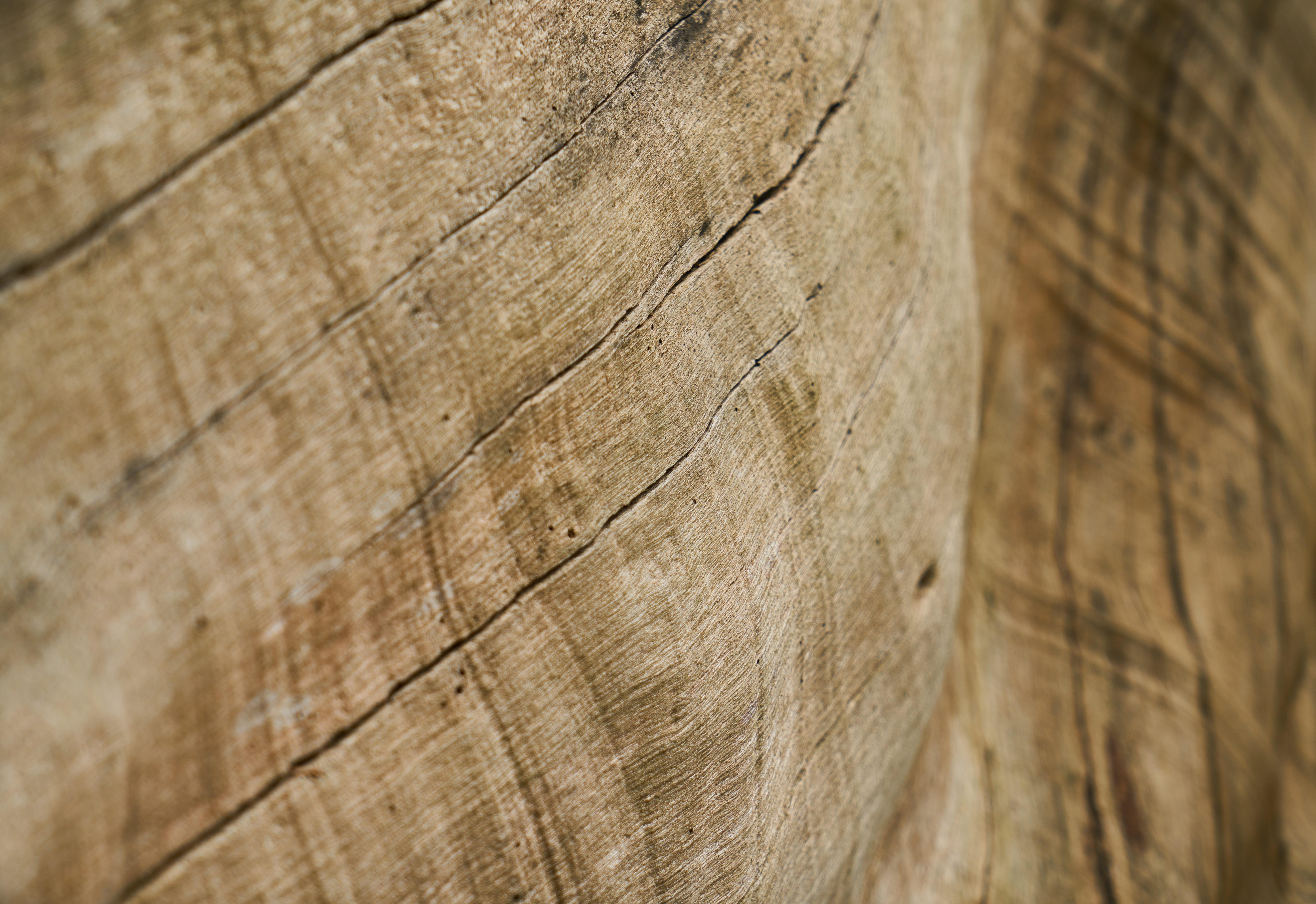 untitled, Abstract, Brown, Tree, Timber, Pattern, texture, backgrounds