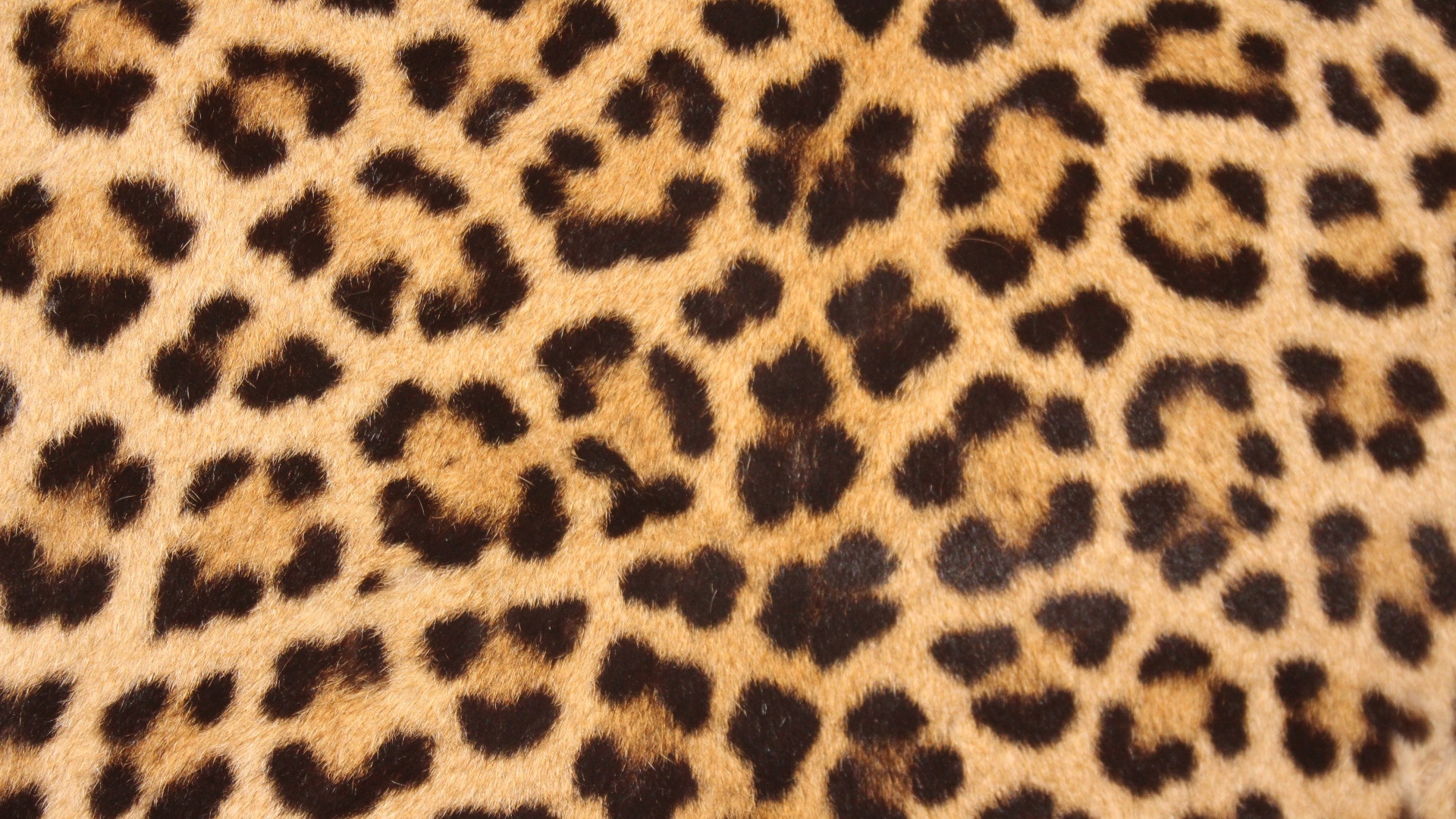 brown and black leopard textile, leopard skin, spots, design
