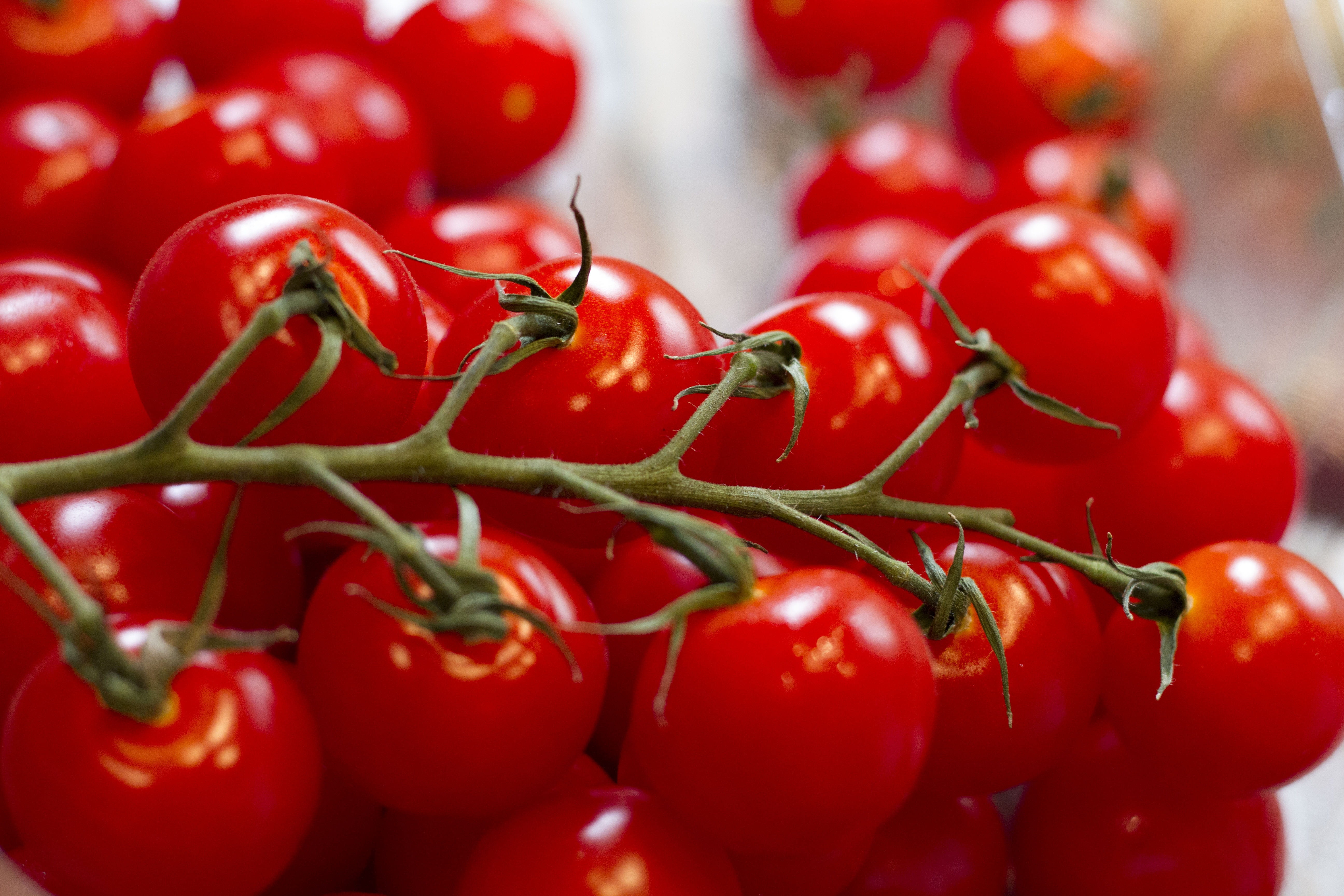 cherry tomatoes, grape tomatoes, kitchen, cooking, vegetable
