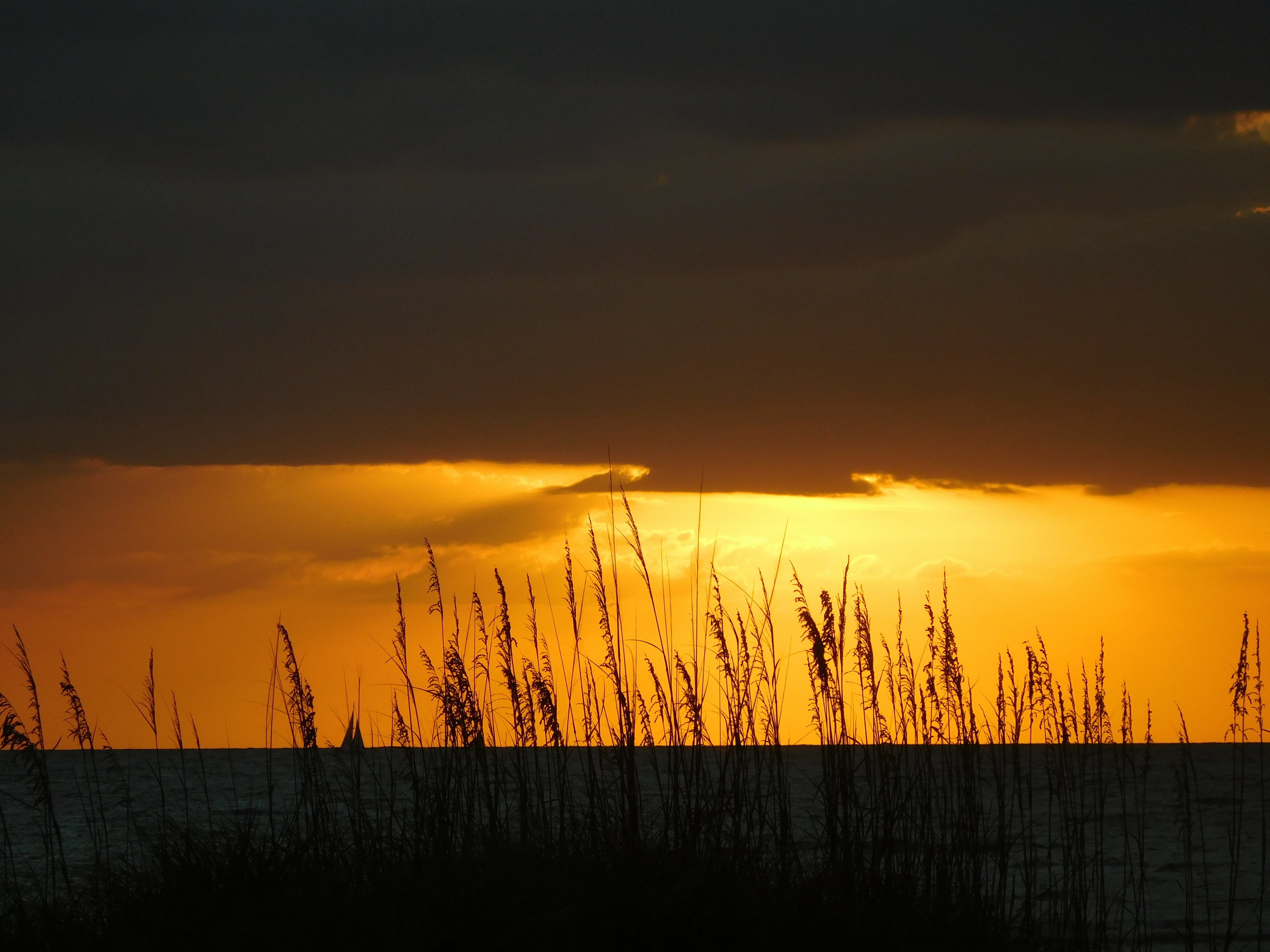 sunset, sunlight, landscape, evening, beach, sky, cloud - sky
