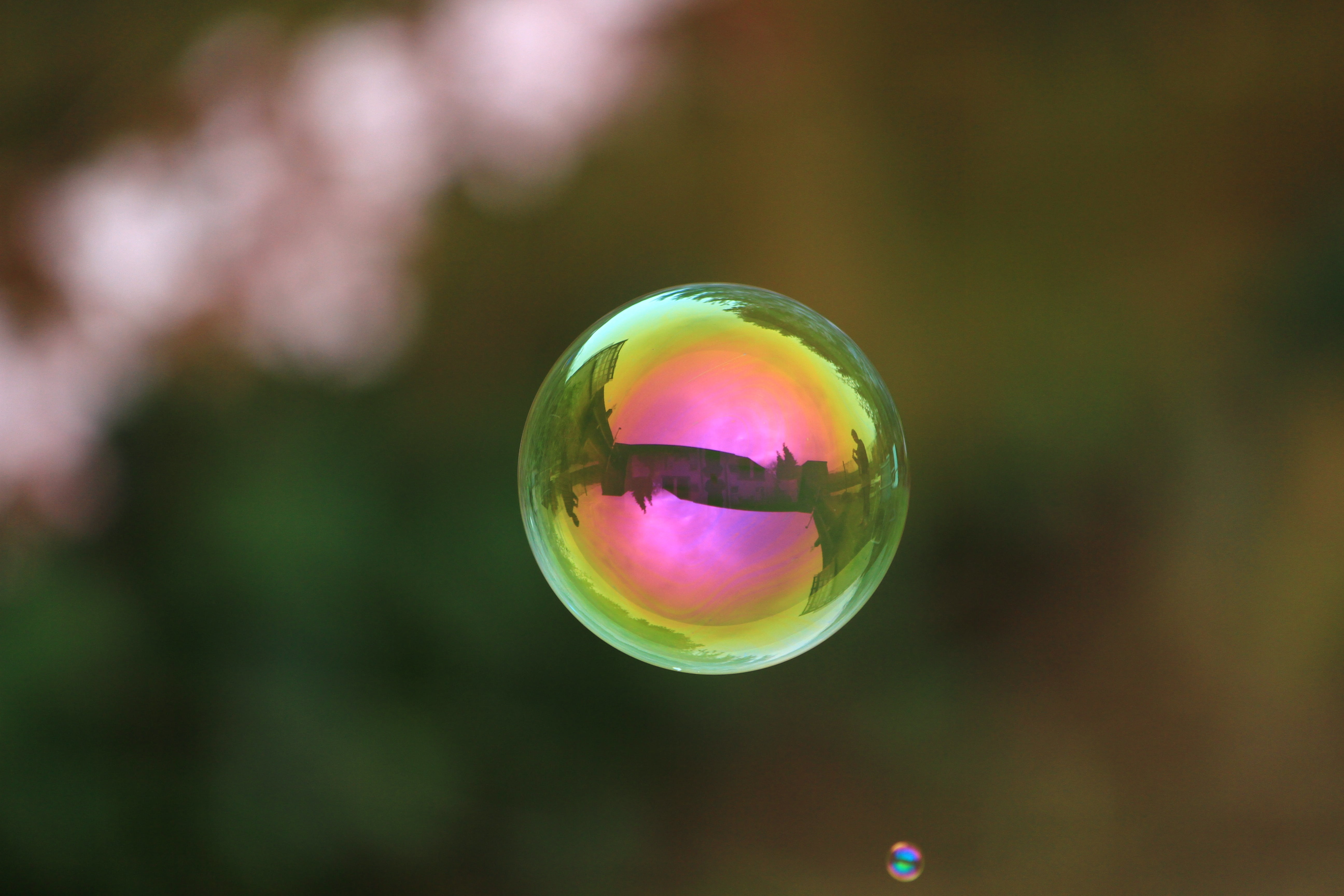 soap bubble, ball, float, soapy water, multi colored, sphere