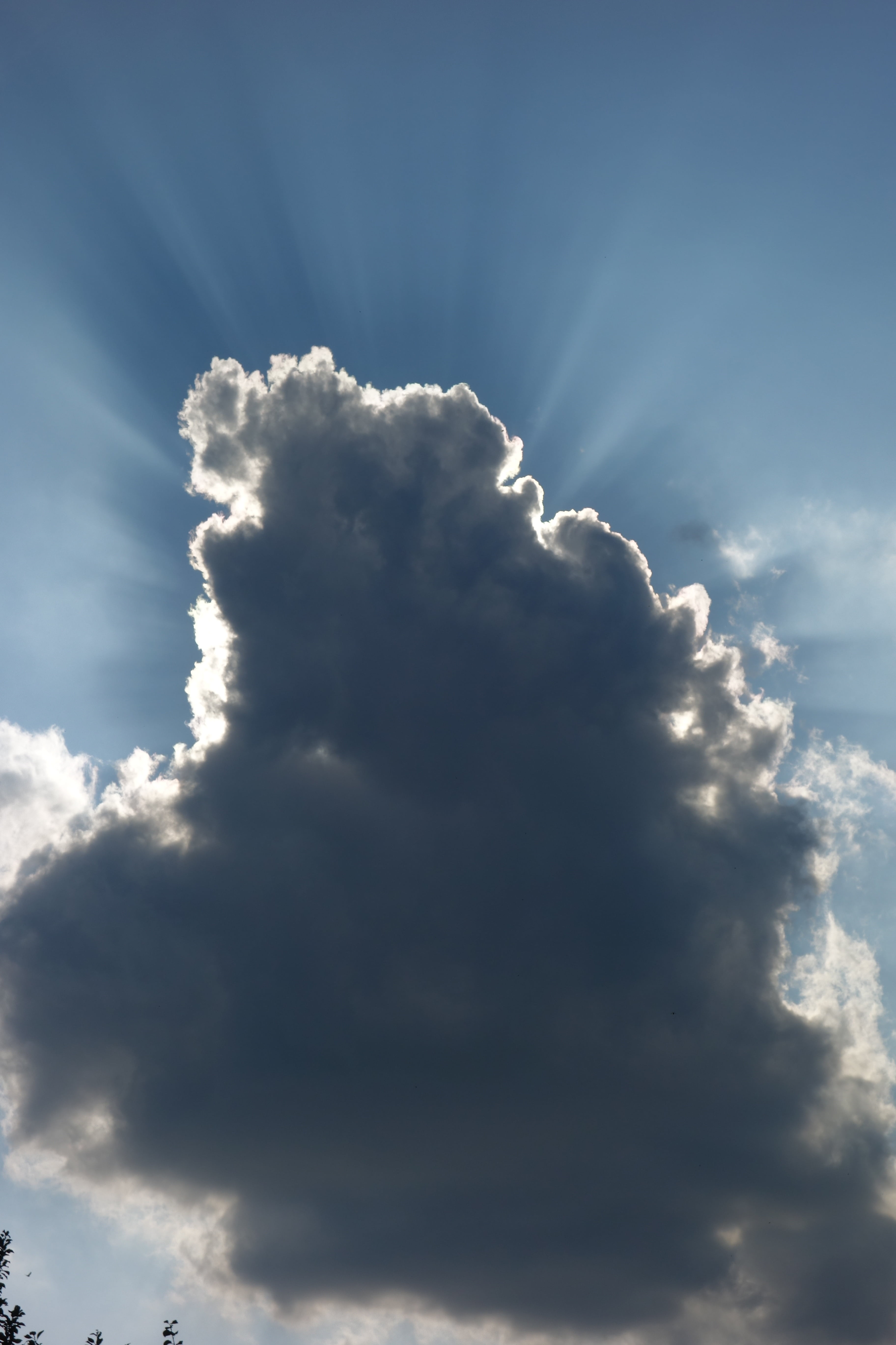 cloud, thunderstorm, cumulus, cloud formation, cloud - sky