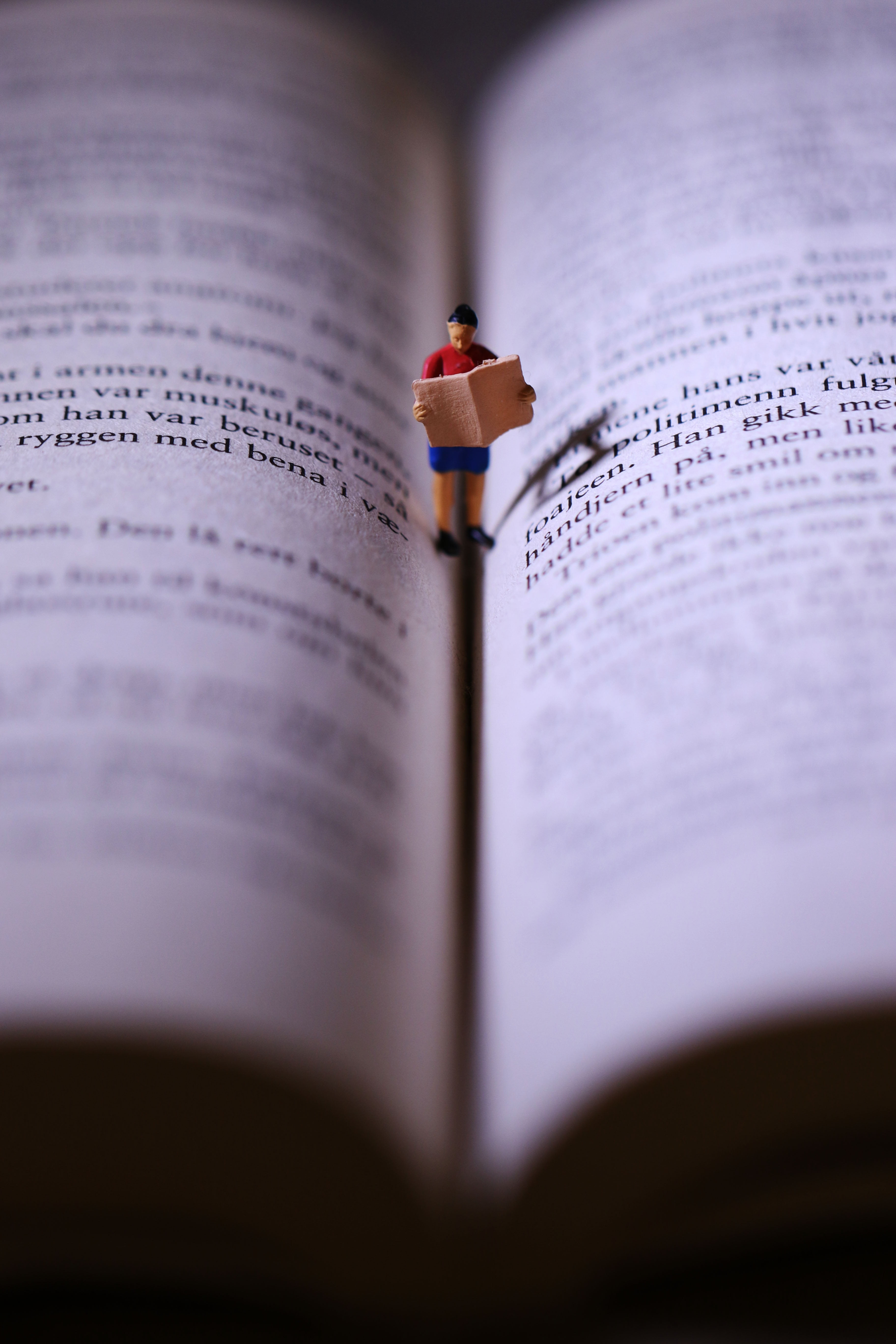 book, miniature, reading, selective focus, publication, close-up