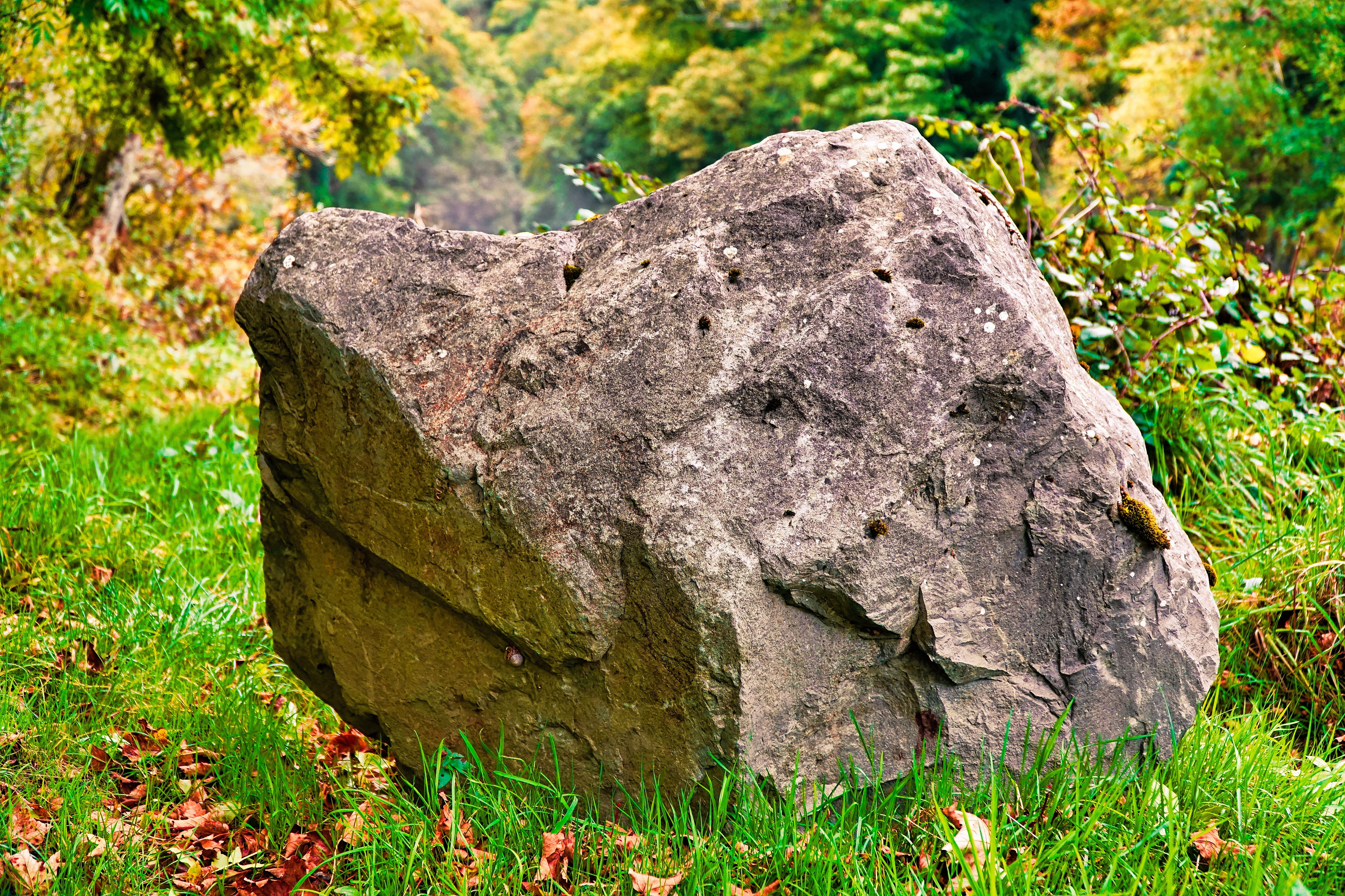 rock, stone, nature, solid, rough, material, macro, natural