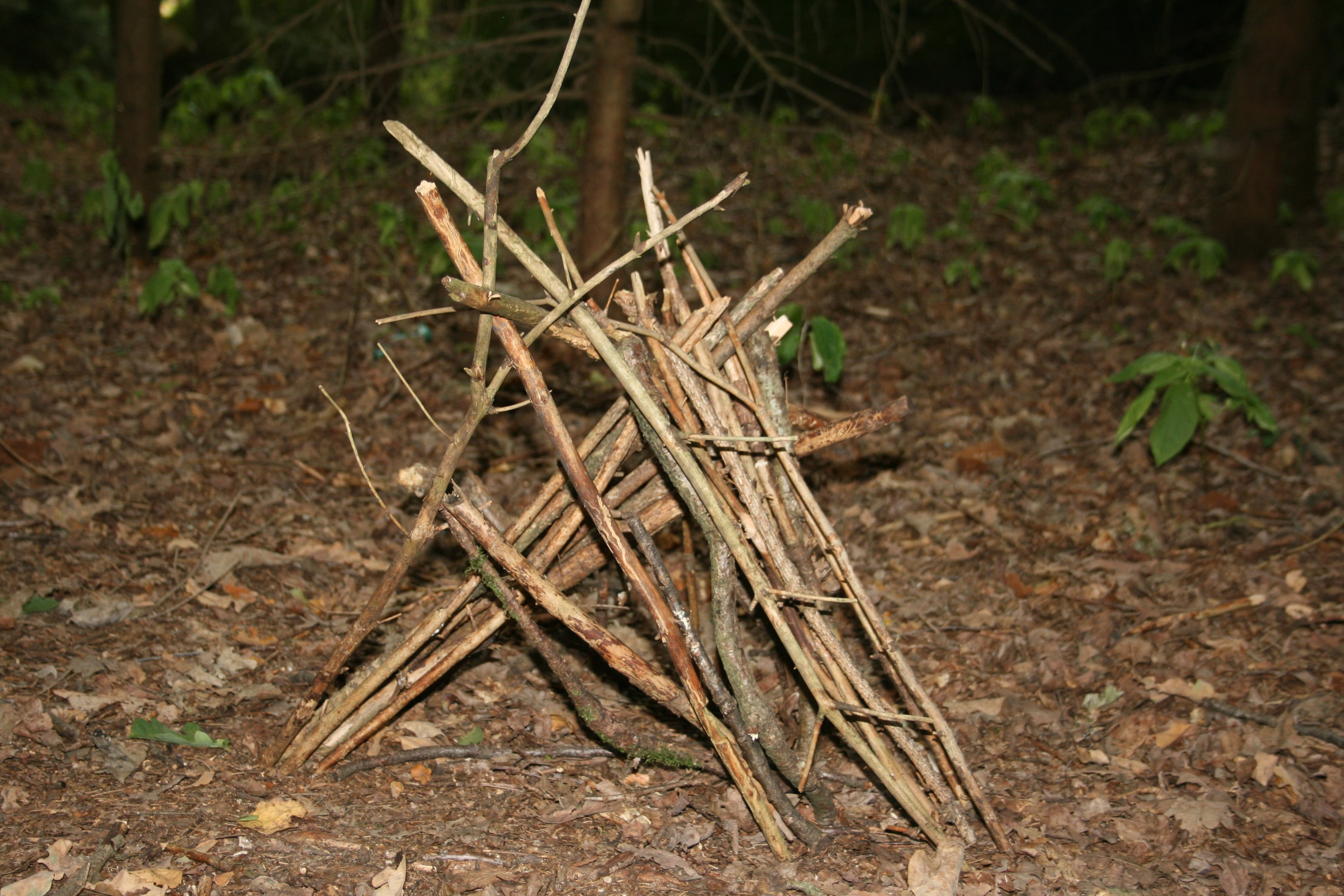 forest, nature, tree, art, fire, abstract, structure, sculpture