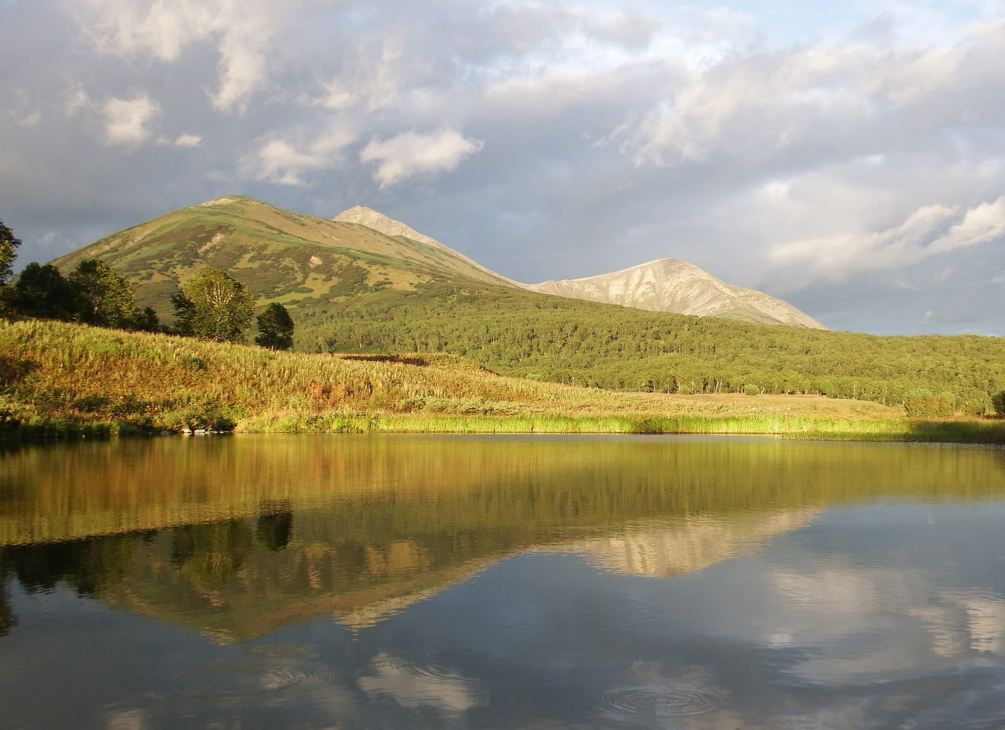 lake, mountains, forest, reflection, clouds, sky, beach, evening