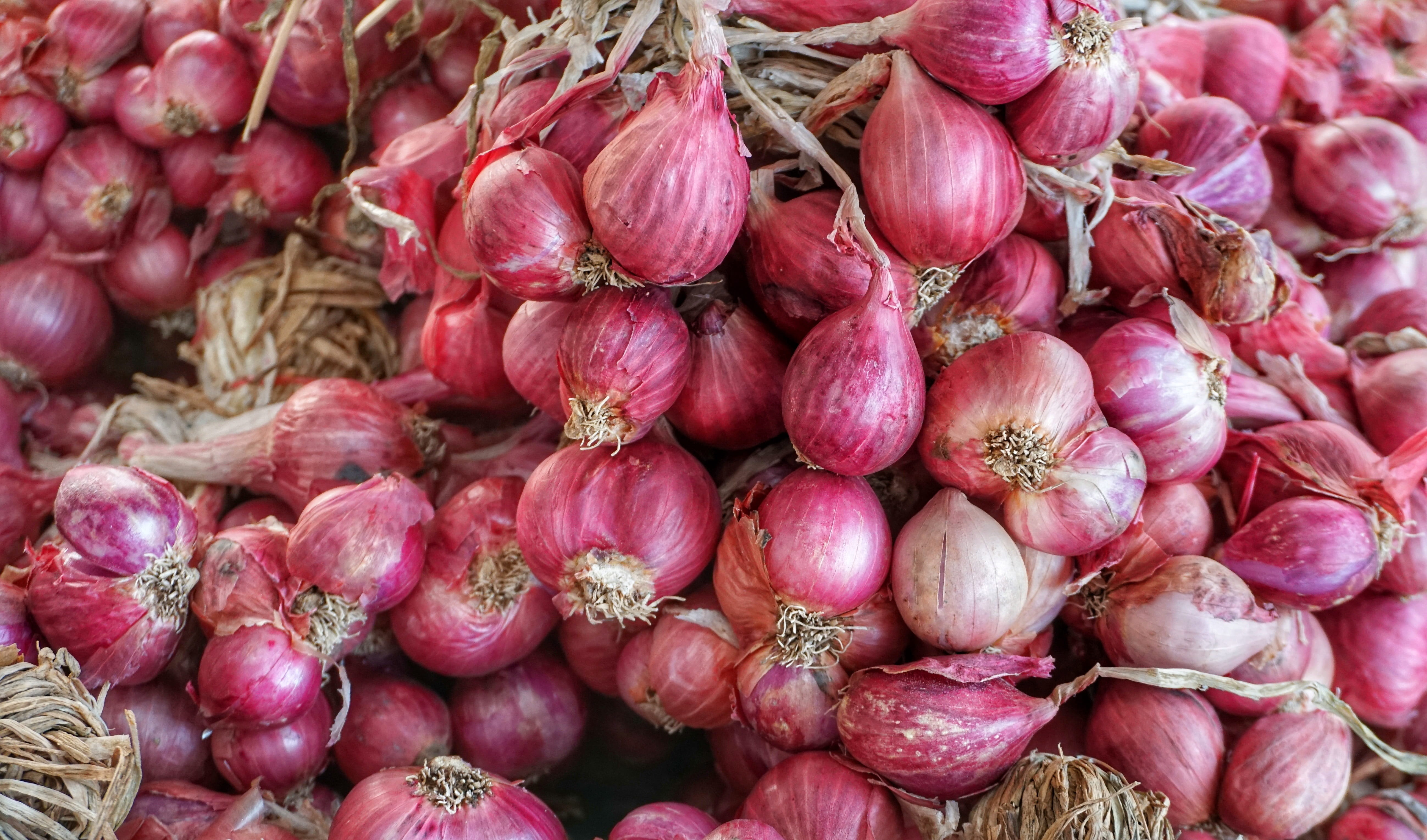 shallot, small, red, onion, bunch, crop, marketplace, food