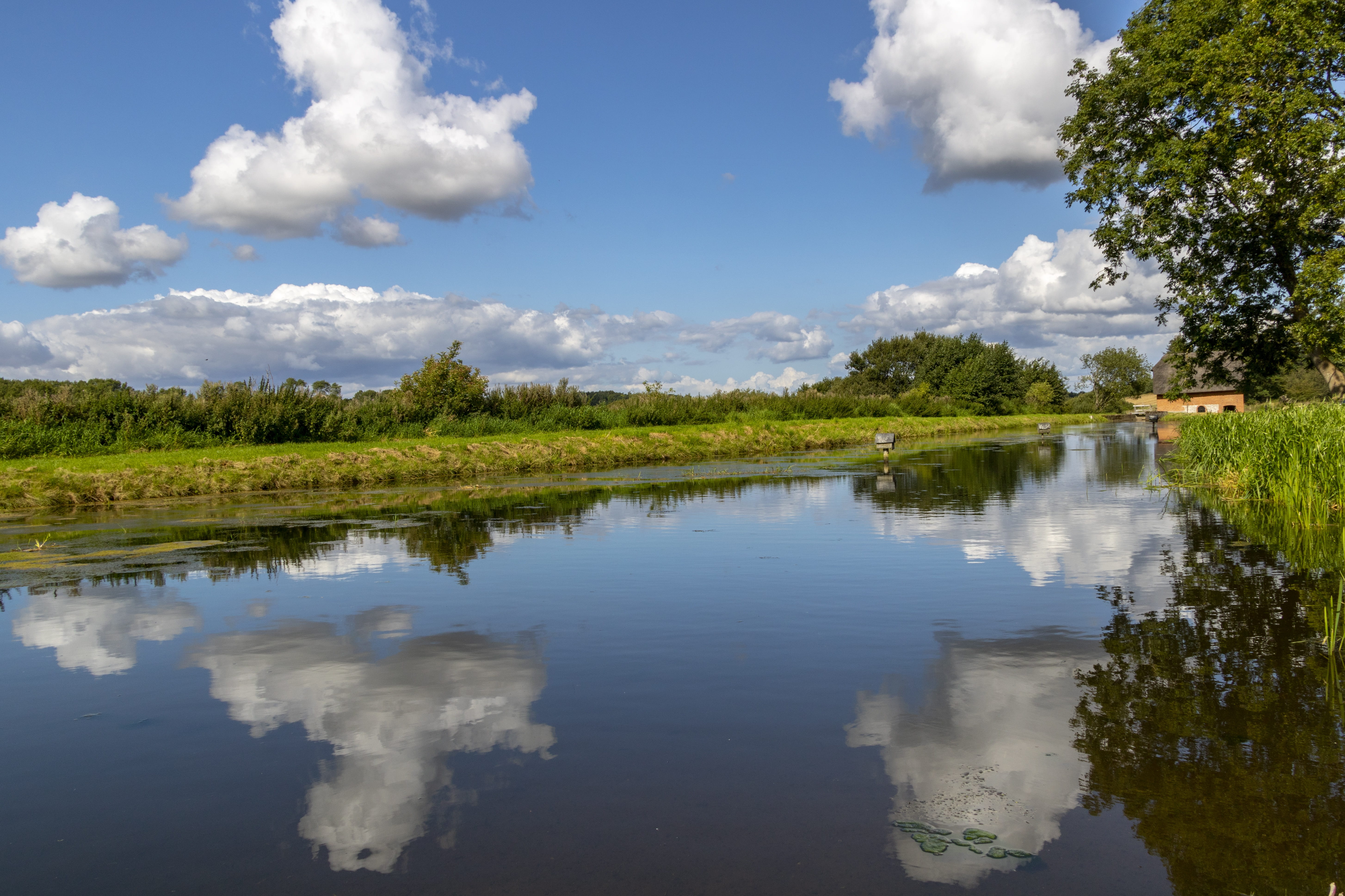 pond, water, clouds, sky, reflection, summer, cloud - sky, lake