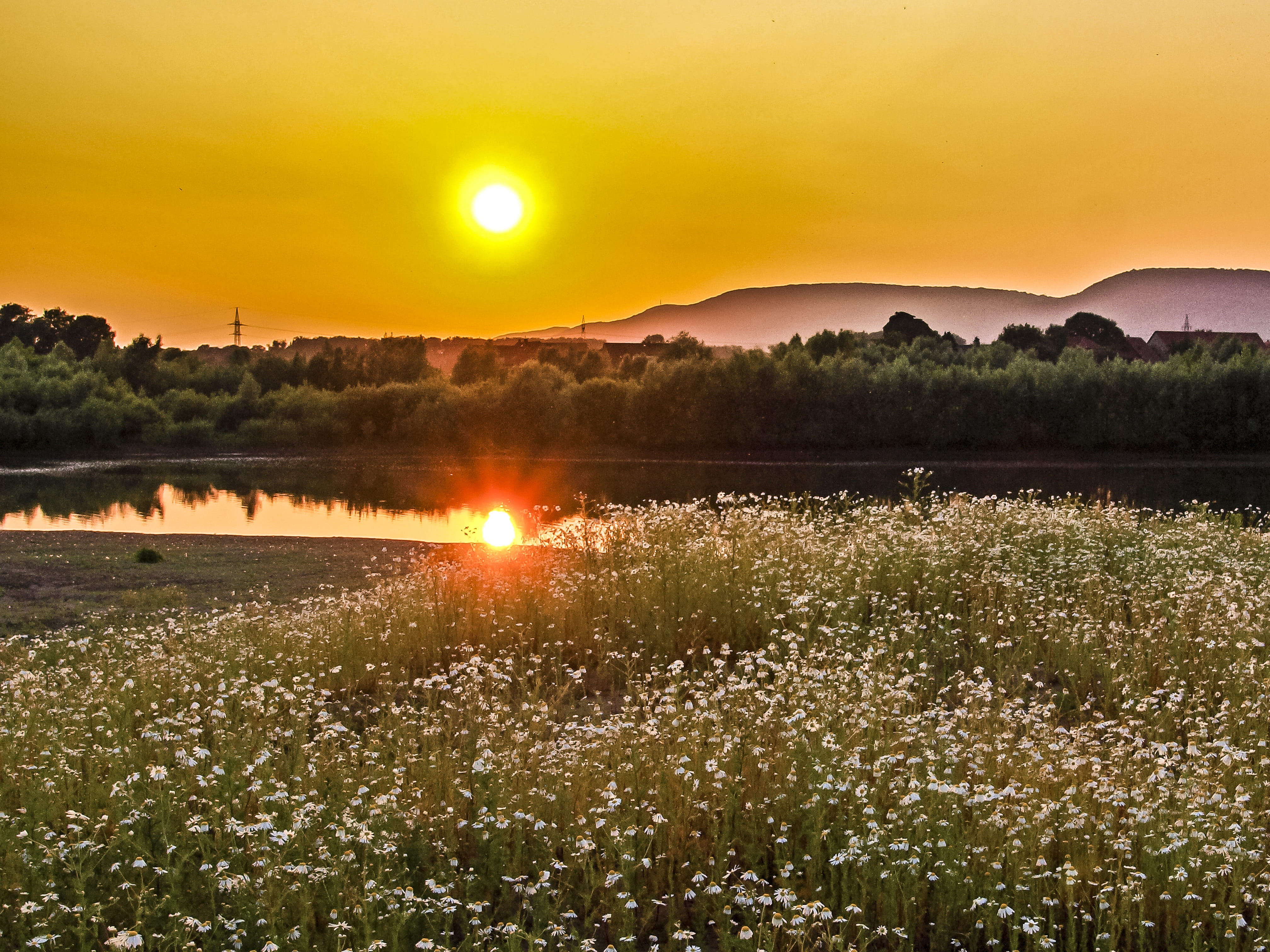 Landscape, Pond, Twilight, Sun, sunset, reflection, nature