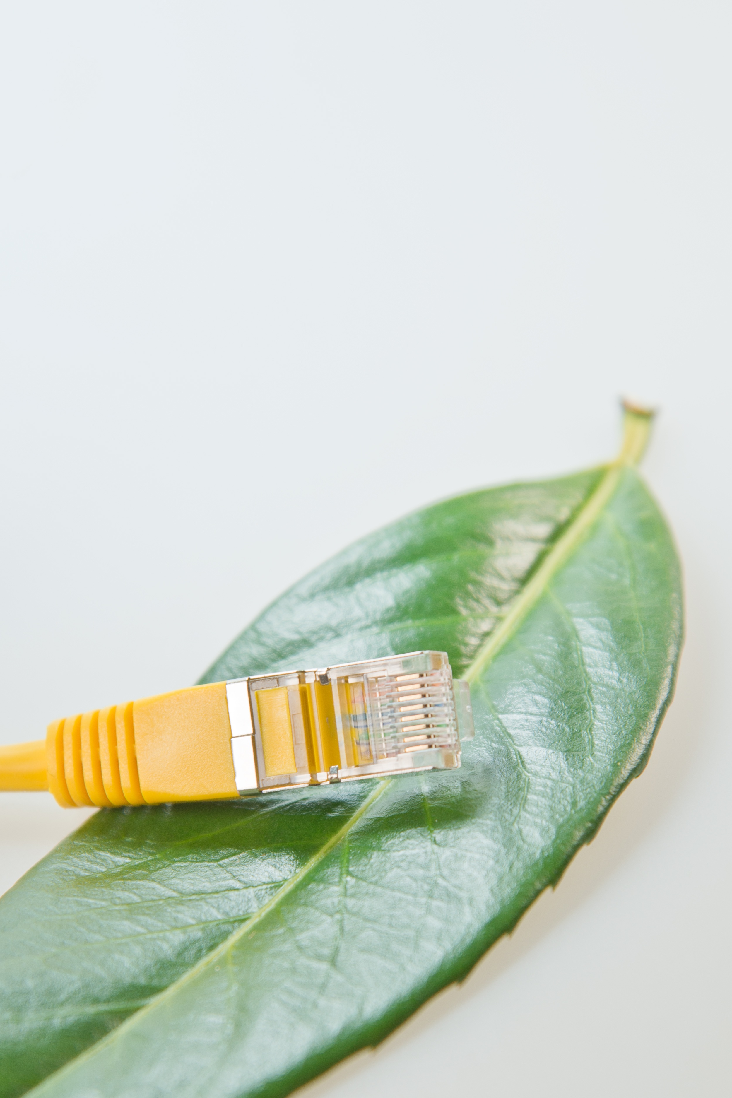 network cables, rj45, patch, patch cable, line, data processing