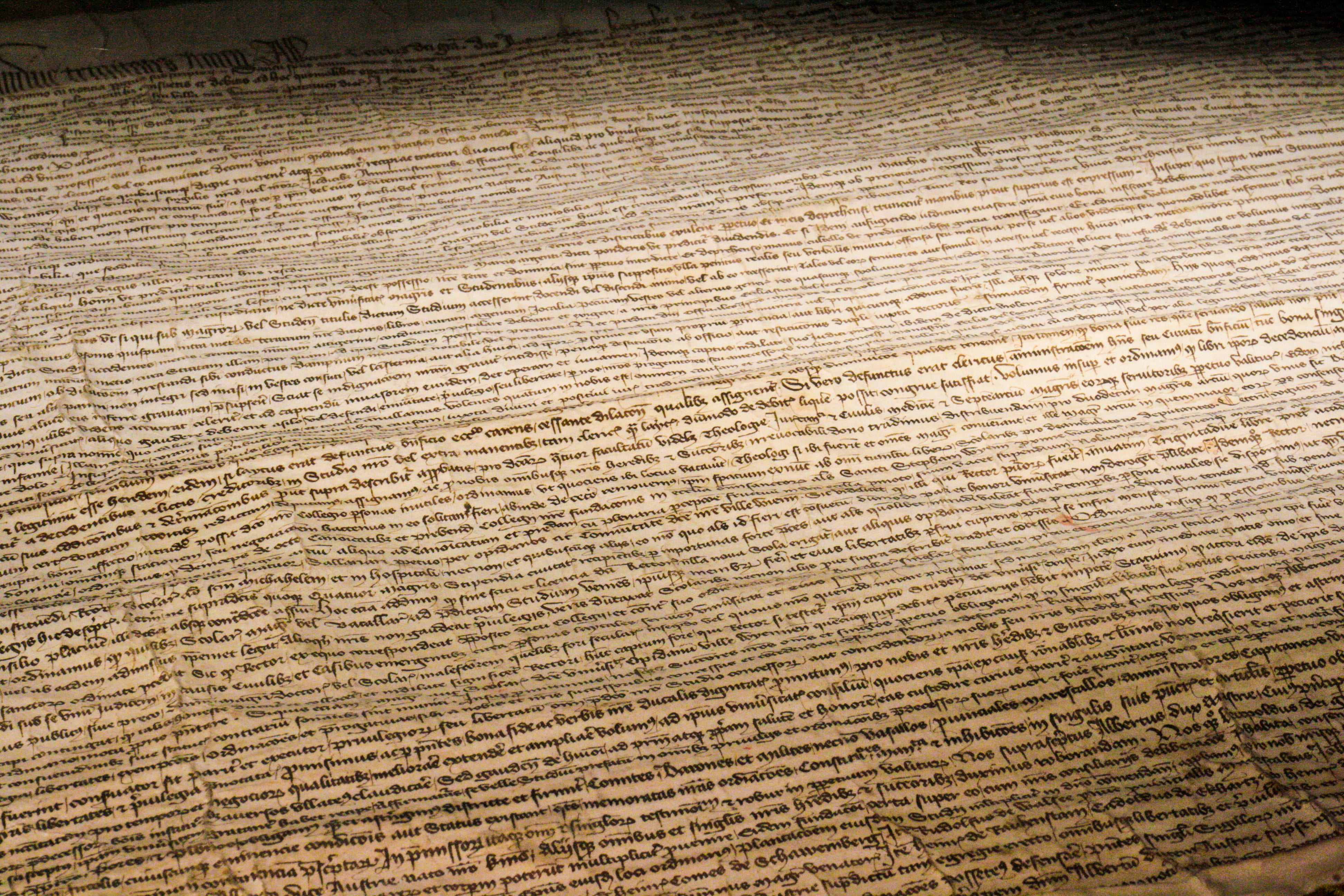 brown and black text-printed surface, write, word, calligraphy