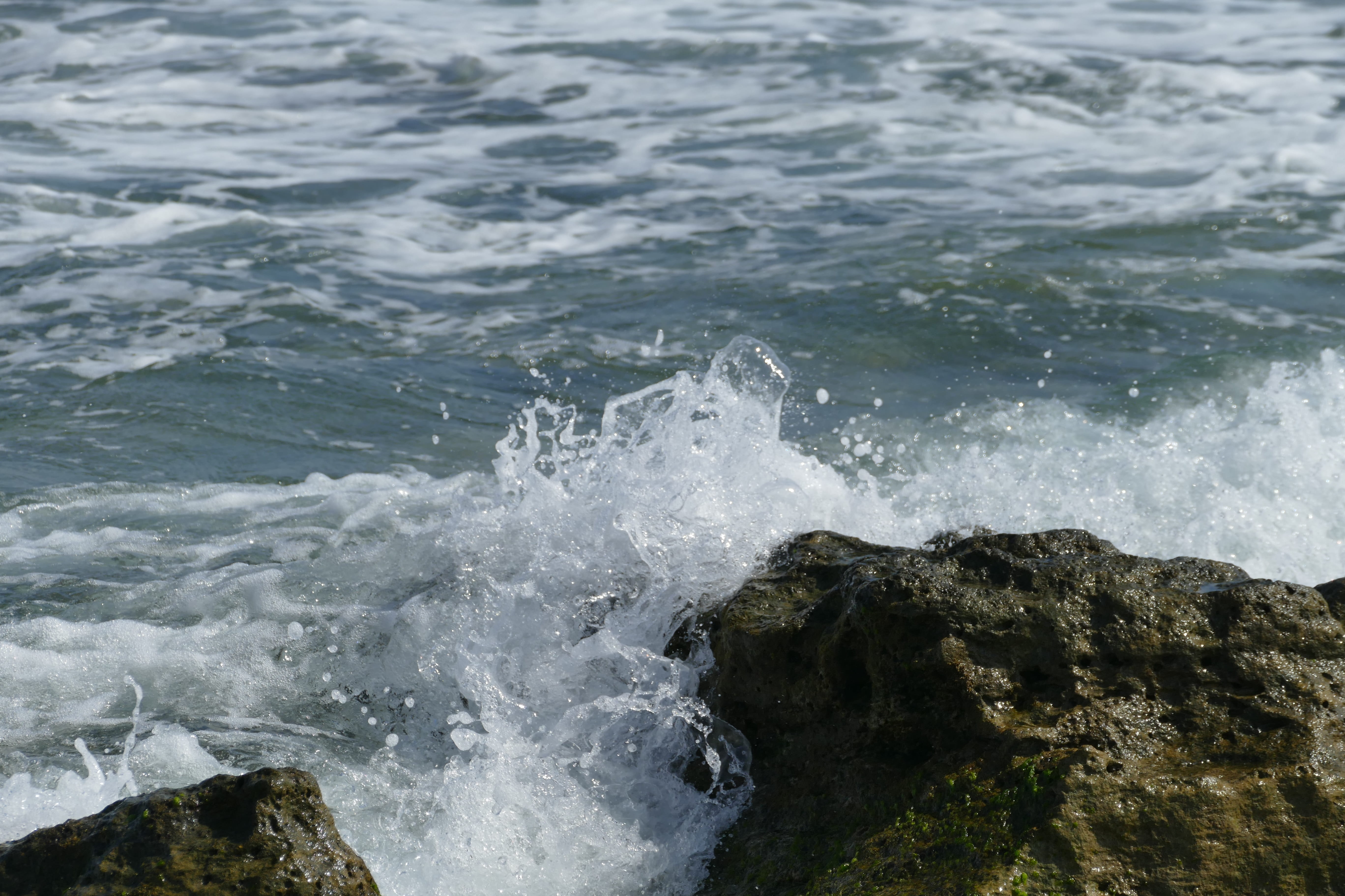 coagulation, sea water, rock, motion, rock - object, solid