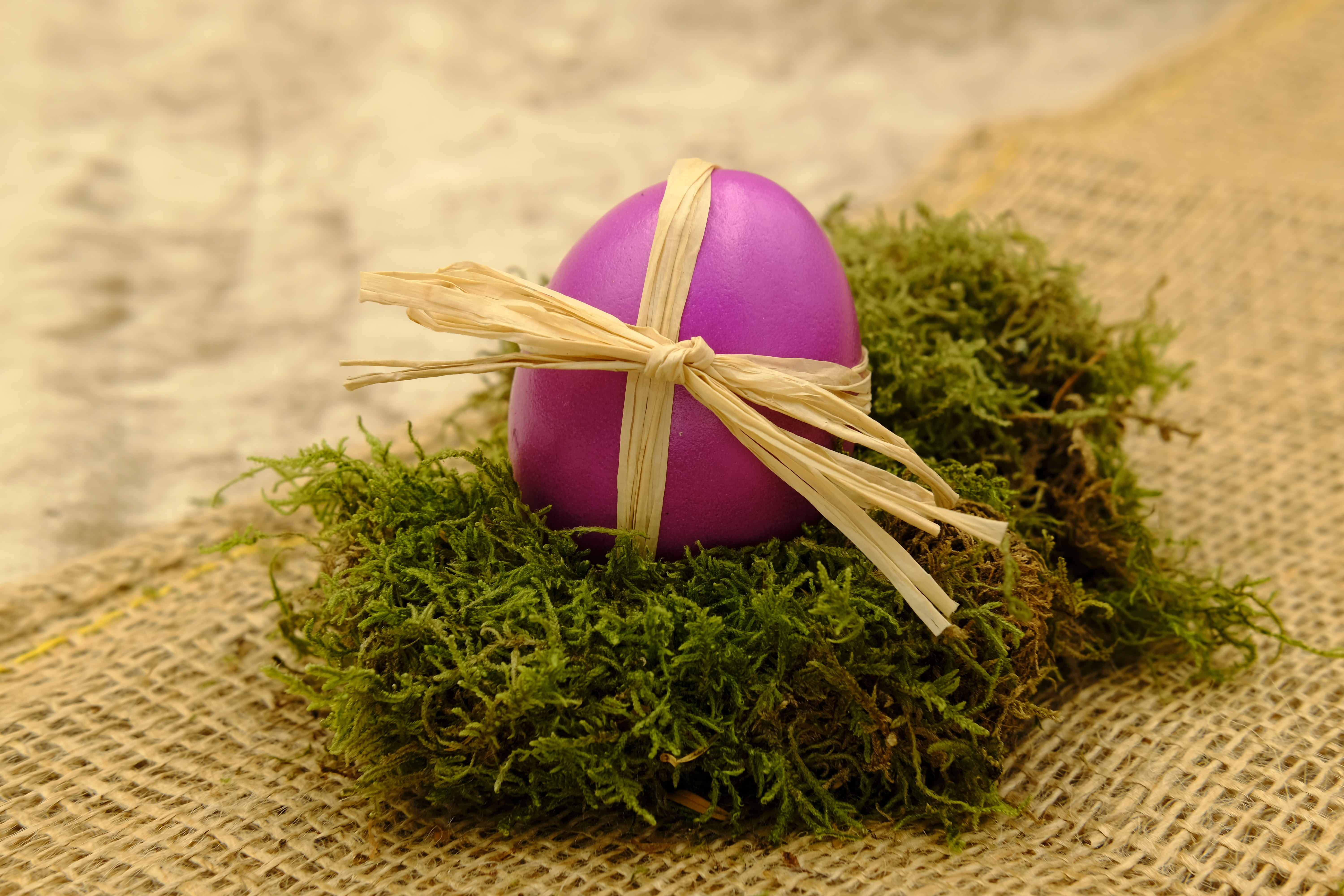 pink Easter egg, easter celebration, give, gift, easter greetings