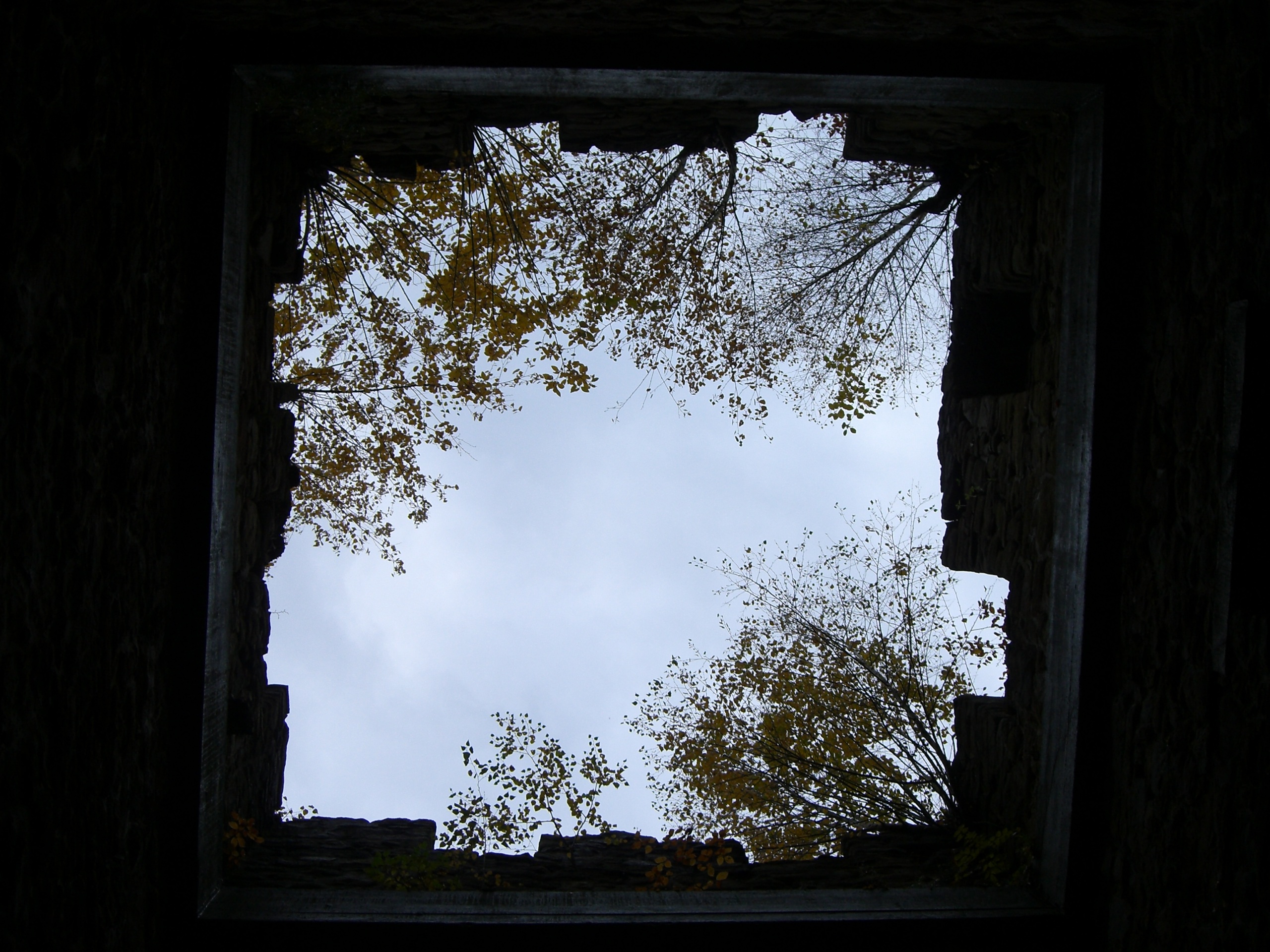 sky, window, issued window, masonry, sky building, tree, plant
