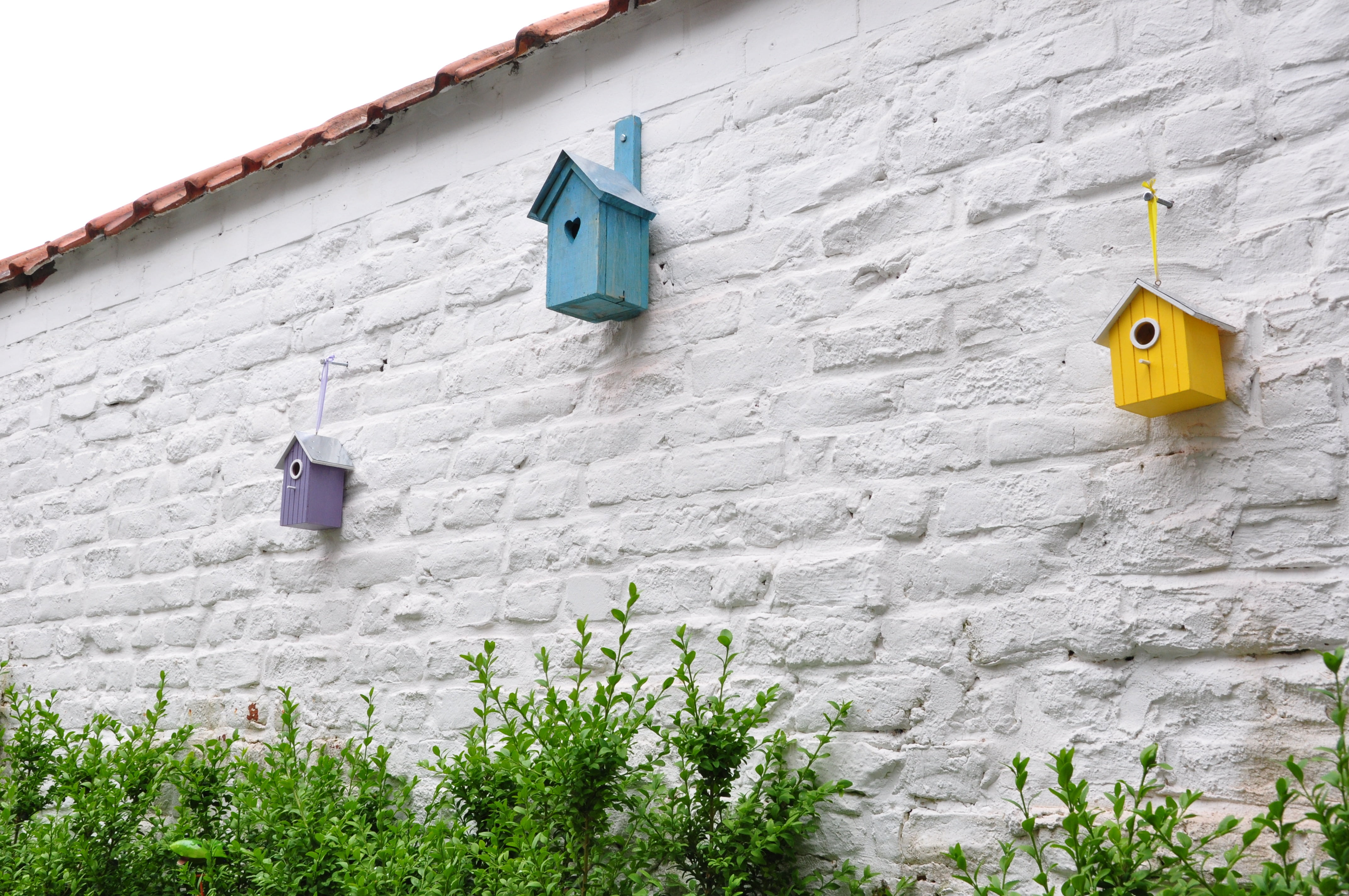 triangular composition, birdhouse, buxus, built structure, architecture