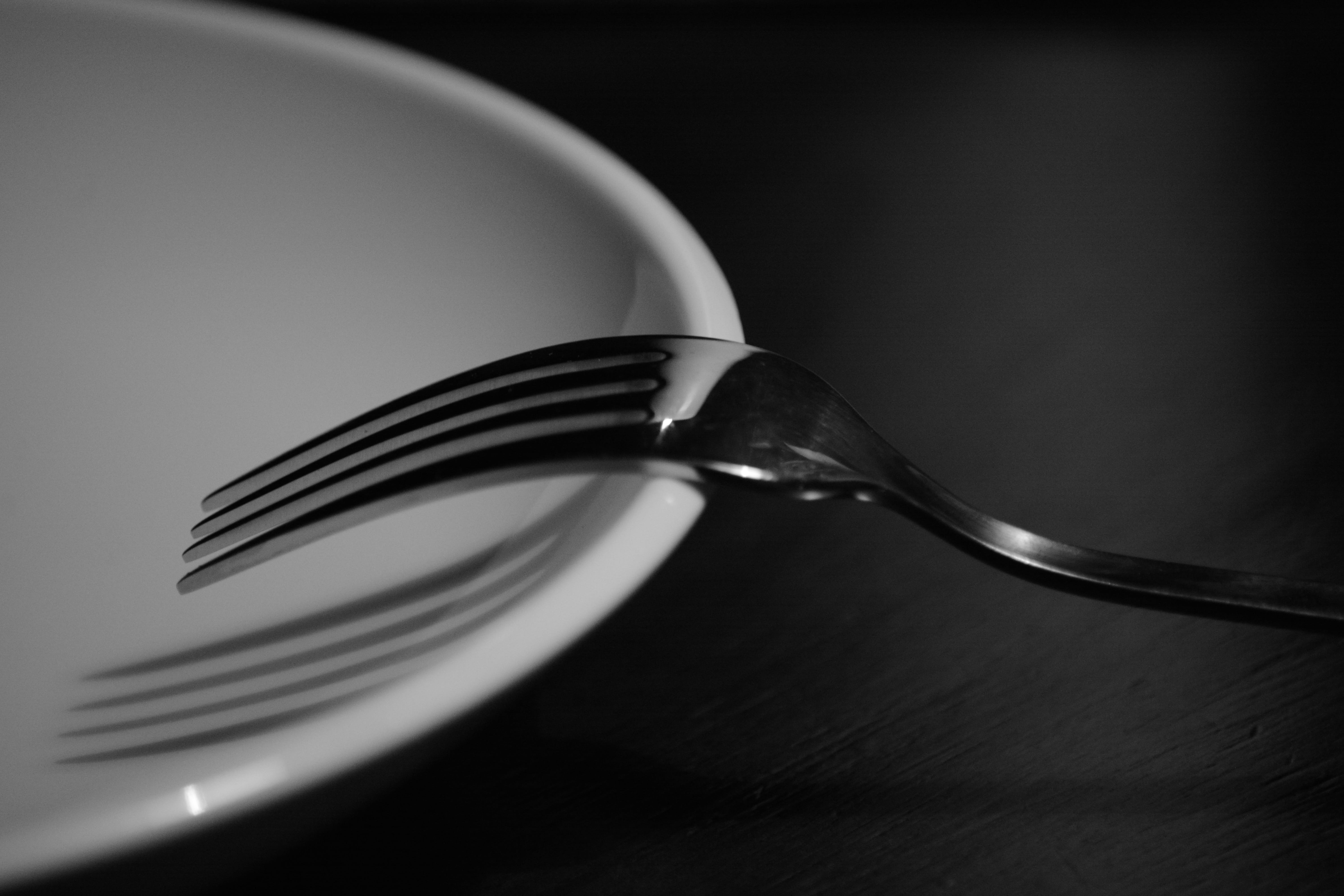 Fork, Plate, Study, Cover, Table, serve, no people, indoors