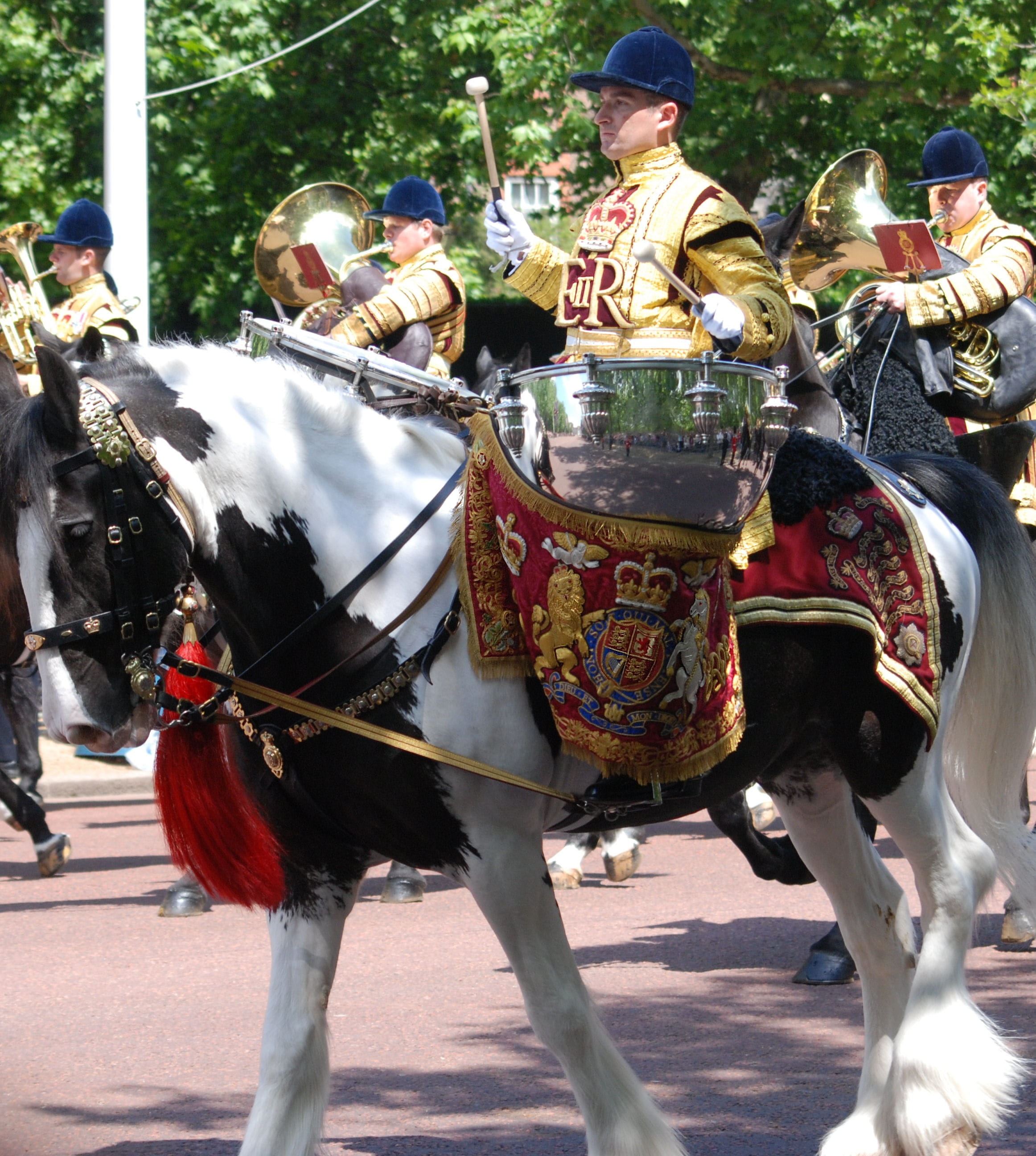 Horse, Drum, Reflection, Mall, the mall, london, trooping the colour