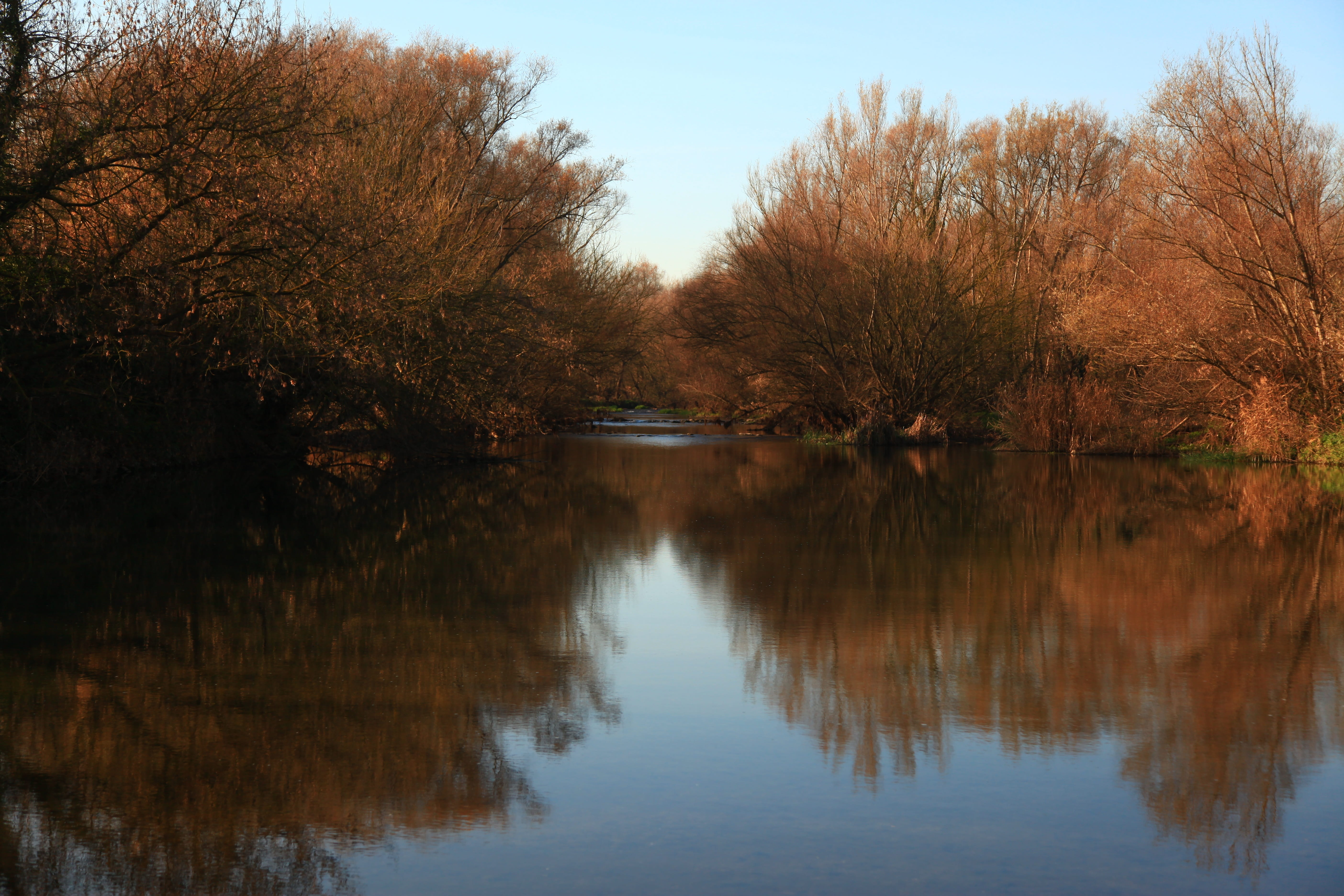 river, reflection, pa, nature, landscape, autumn, nice, tree