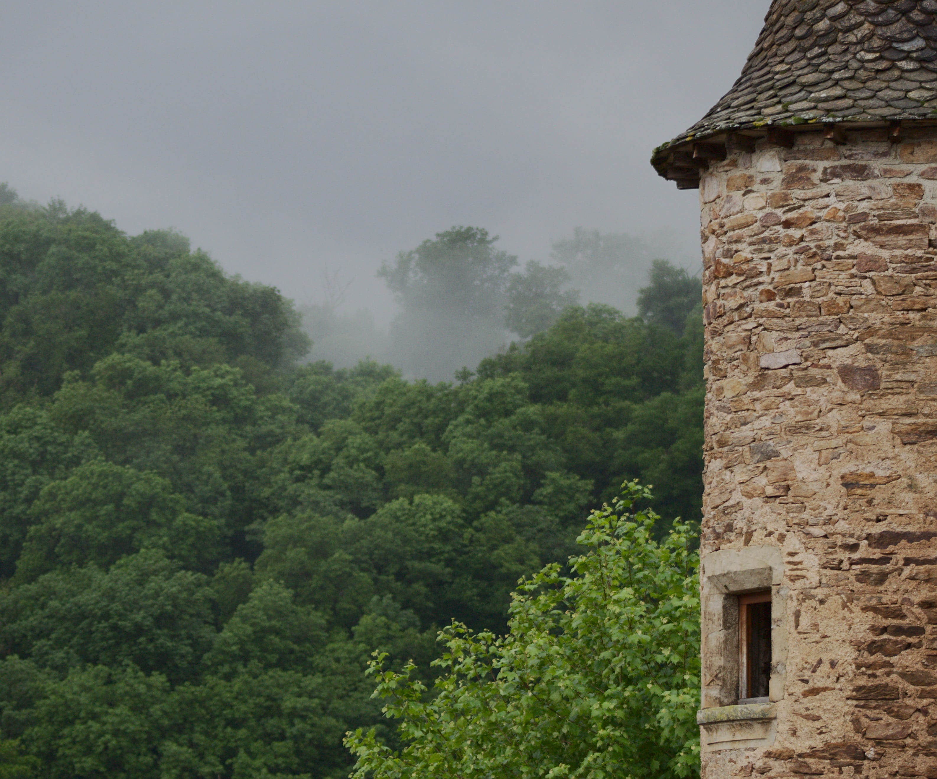 castle, medieval, architecture, built structure, tree, plant