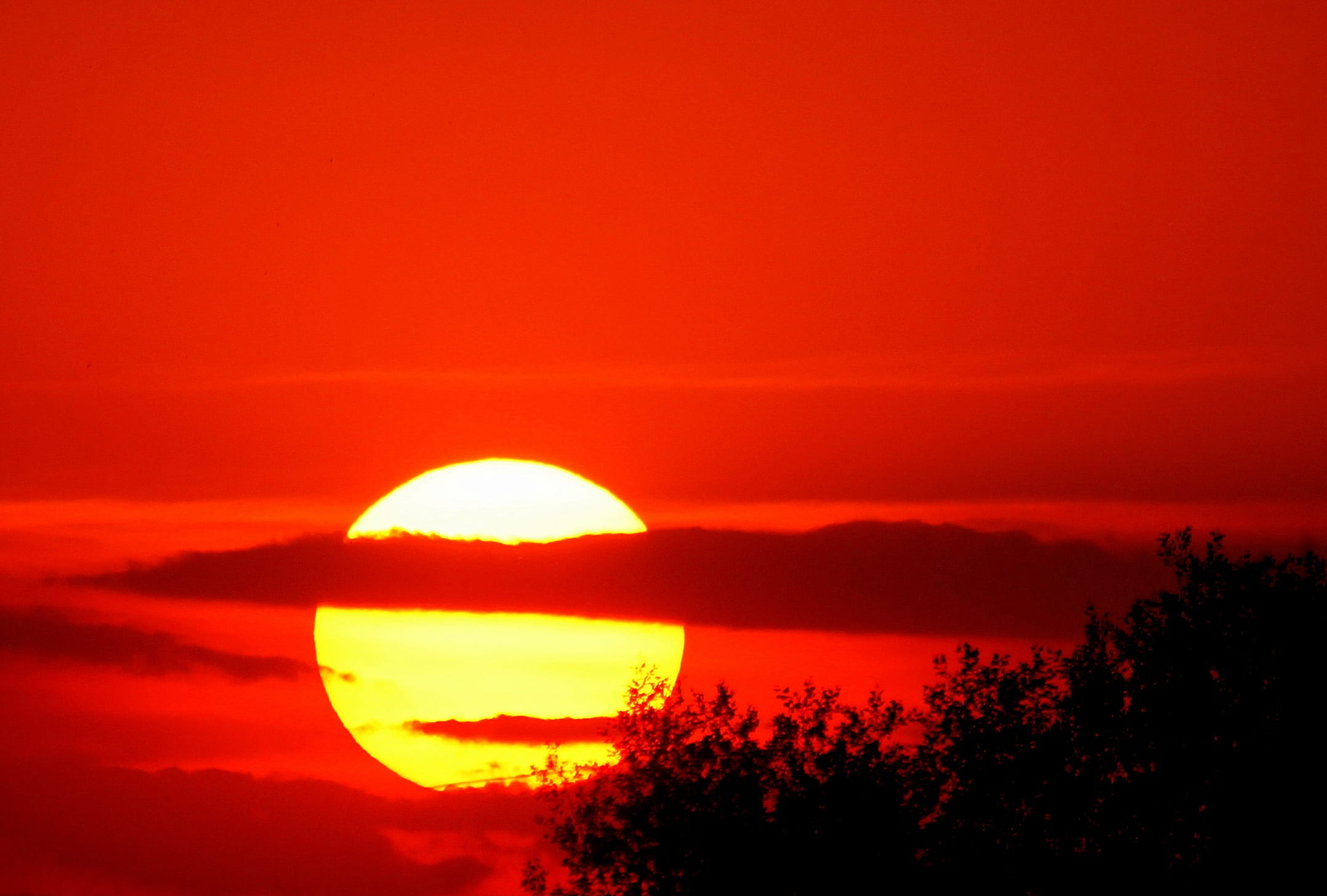 sunset, red, west, sky, clouds, summer, view, evening, tree