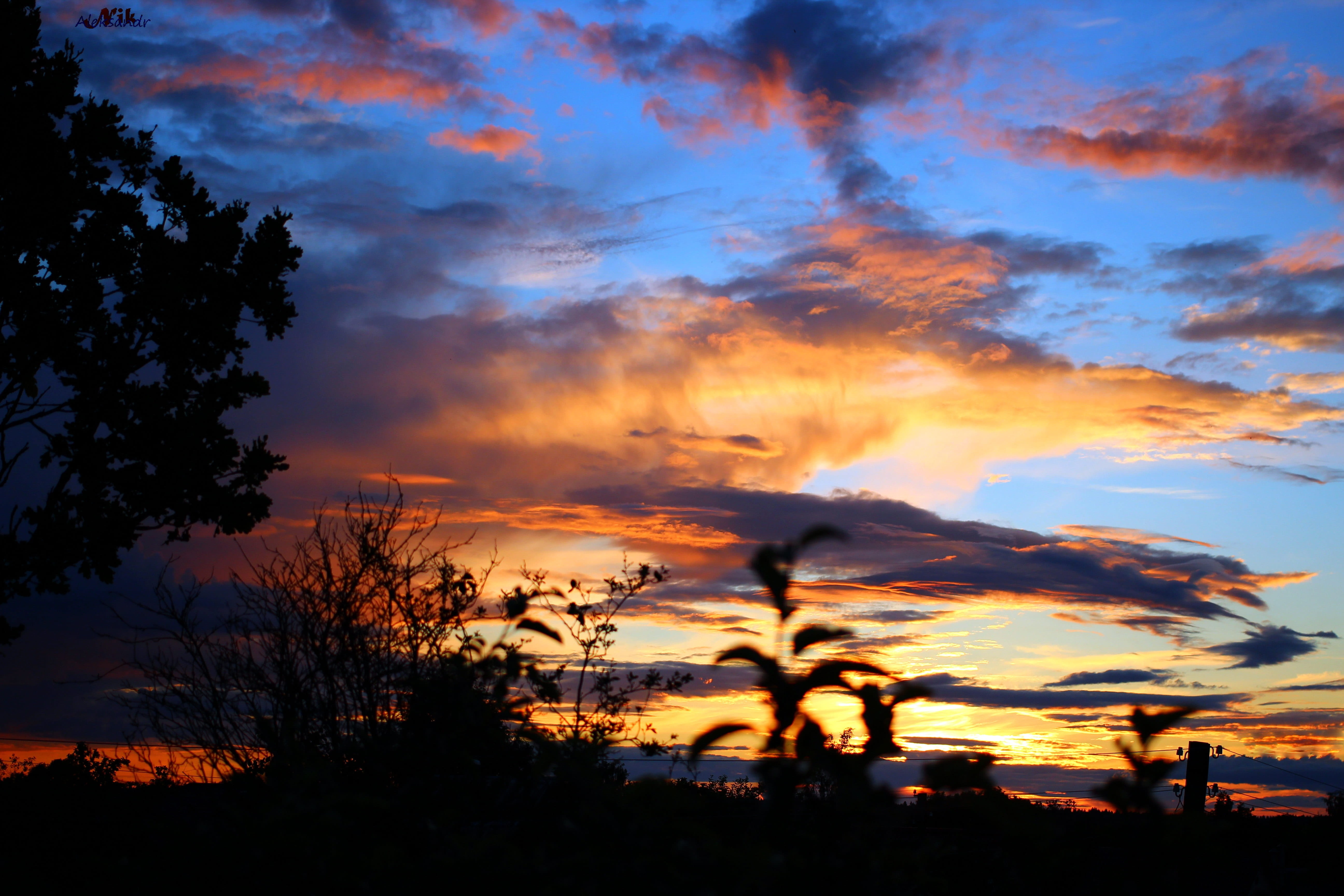 sunset, panoramic, twilight, nature, sky, tree, cloud - sky