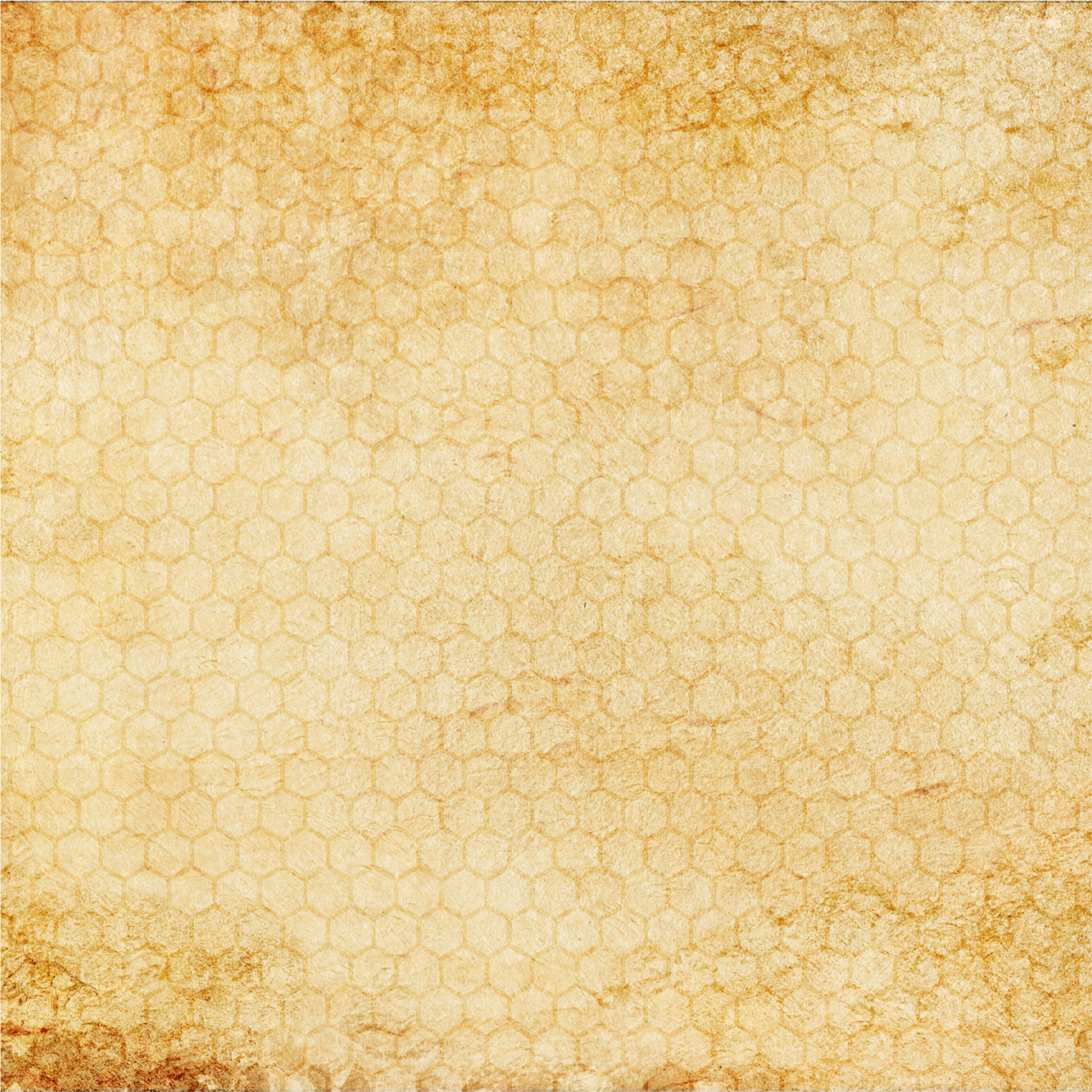 combs, bees, texture, paper, background, parchment, structure