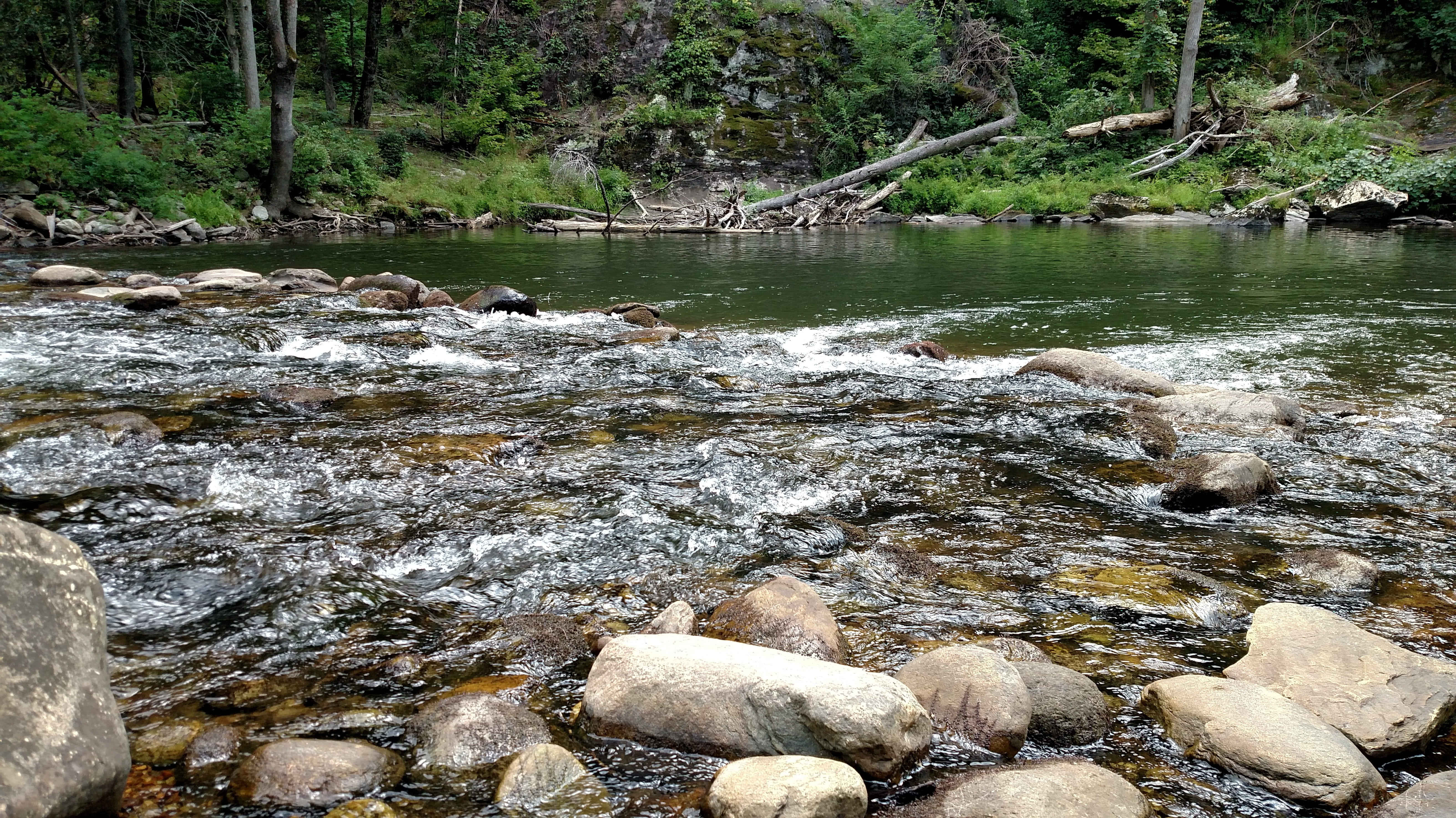 river, remote, stream, rapids, pool, stones, scenery, nature