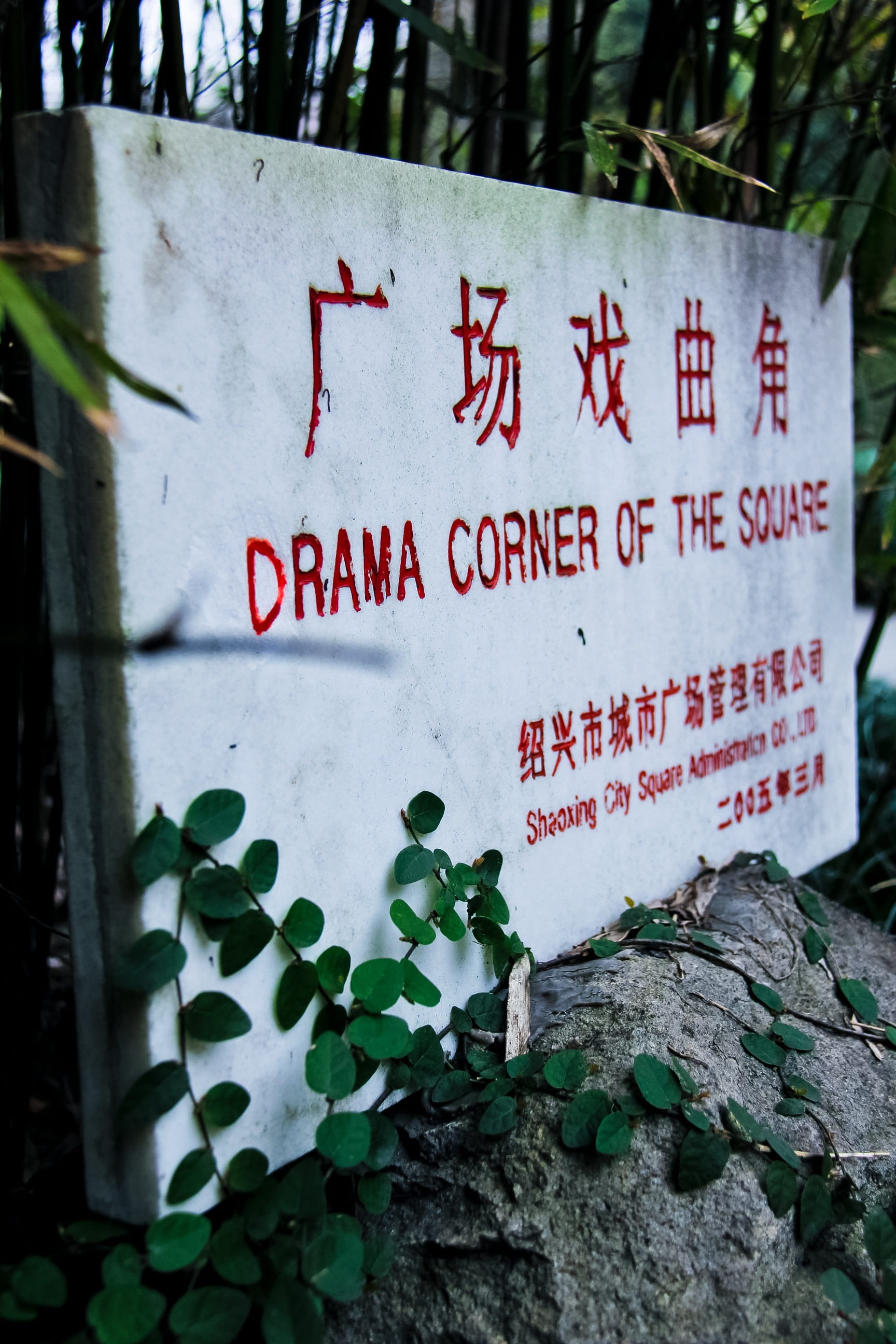 Stone, Square, green leaf, marked, shaoxing, city, spring, text