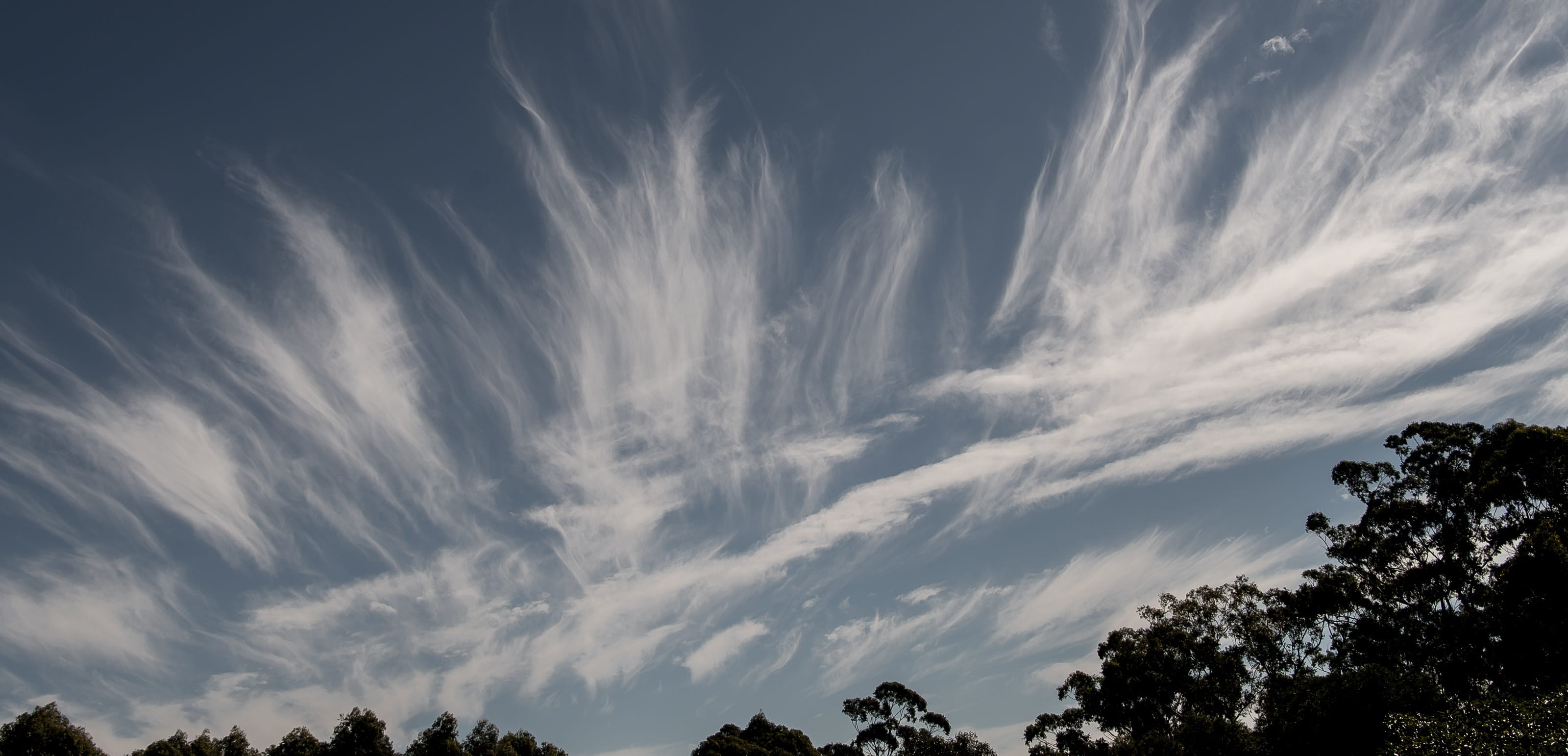 clouds, white, blue, fluffy, delicate, pattern, sky, cloudscape