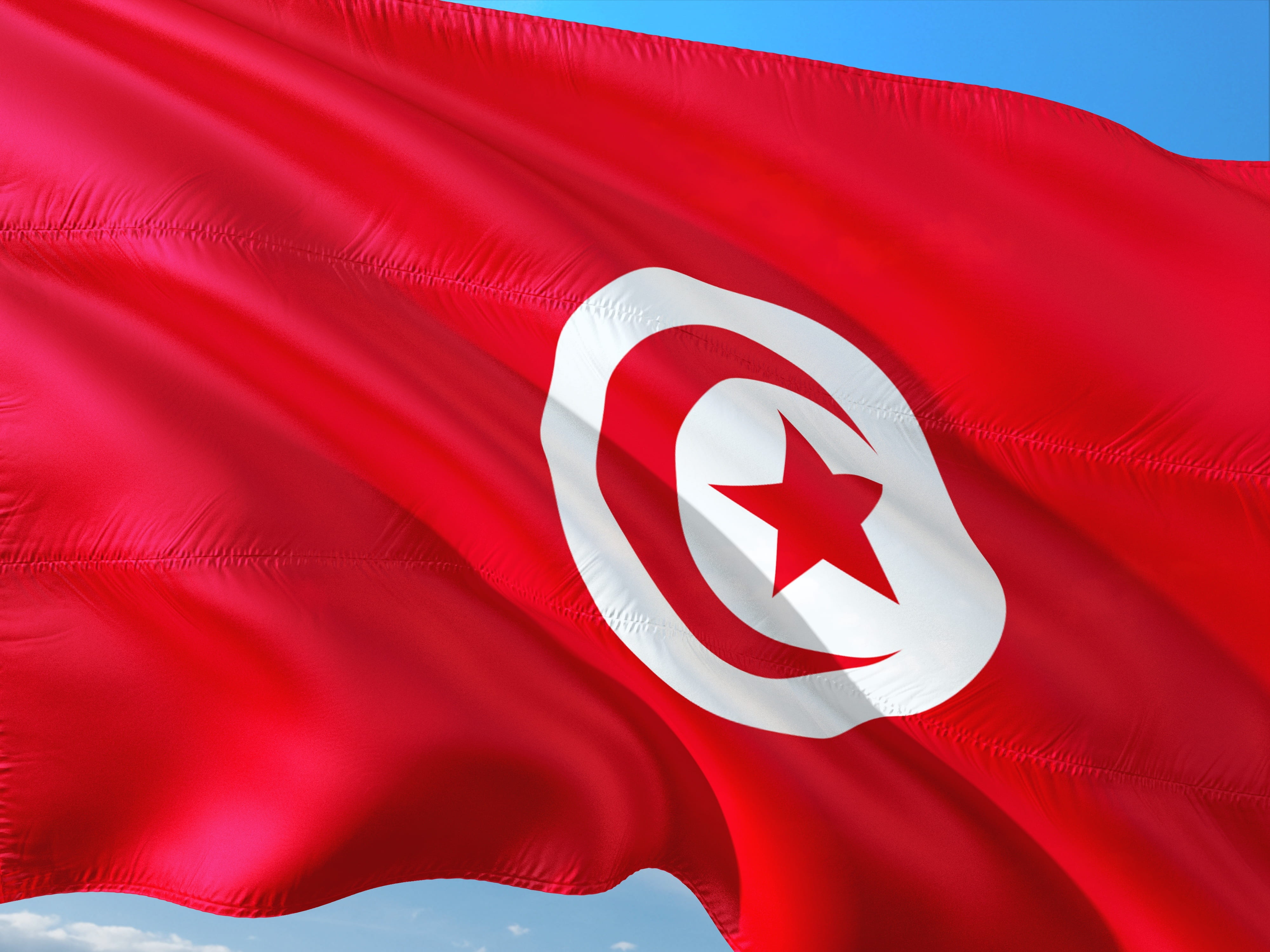international, flag, tunis, tunisia, red, patriotism, white color