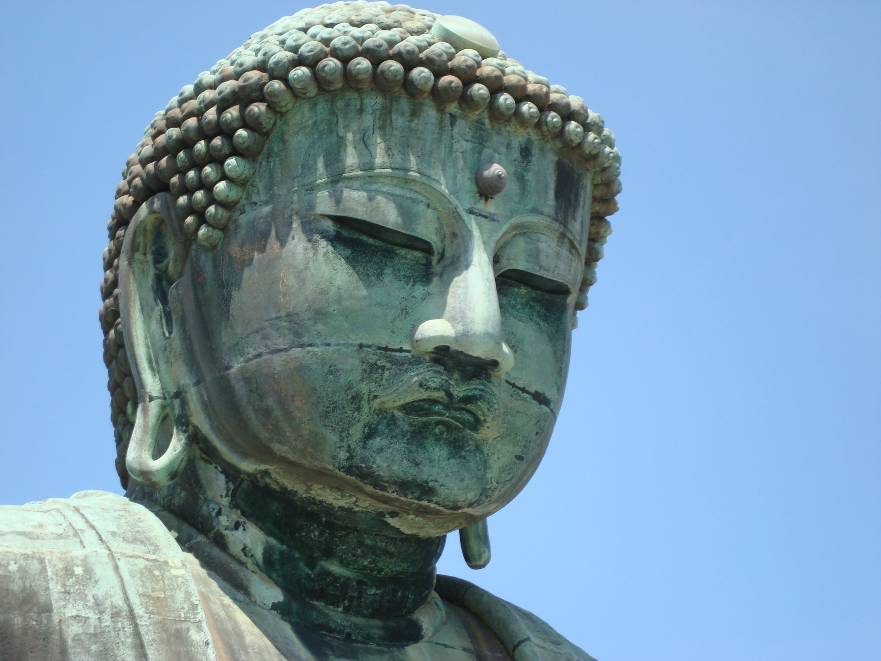 Free download | HD wallpaper: big buddha, daibutsu, japan, statue ...