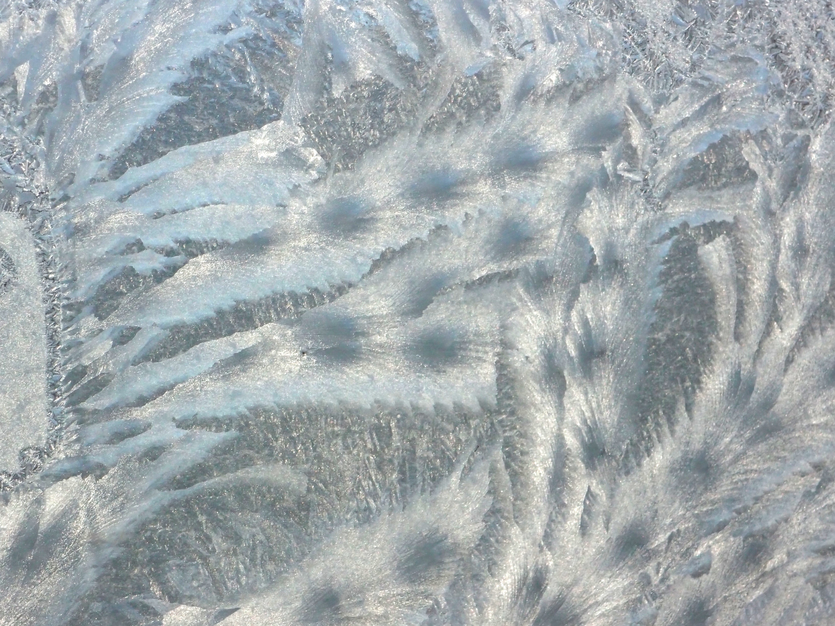 frost, window, pattern, winter, coldly, winter pattern, pattern on window