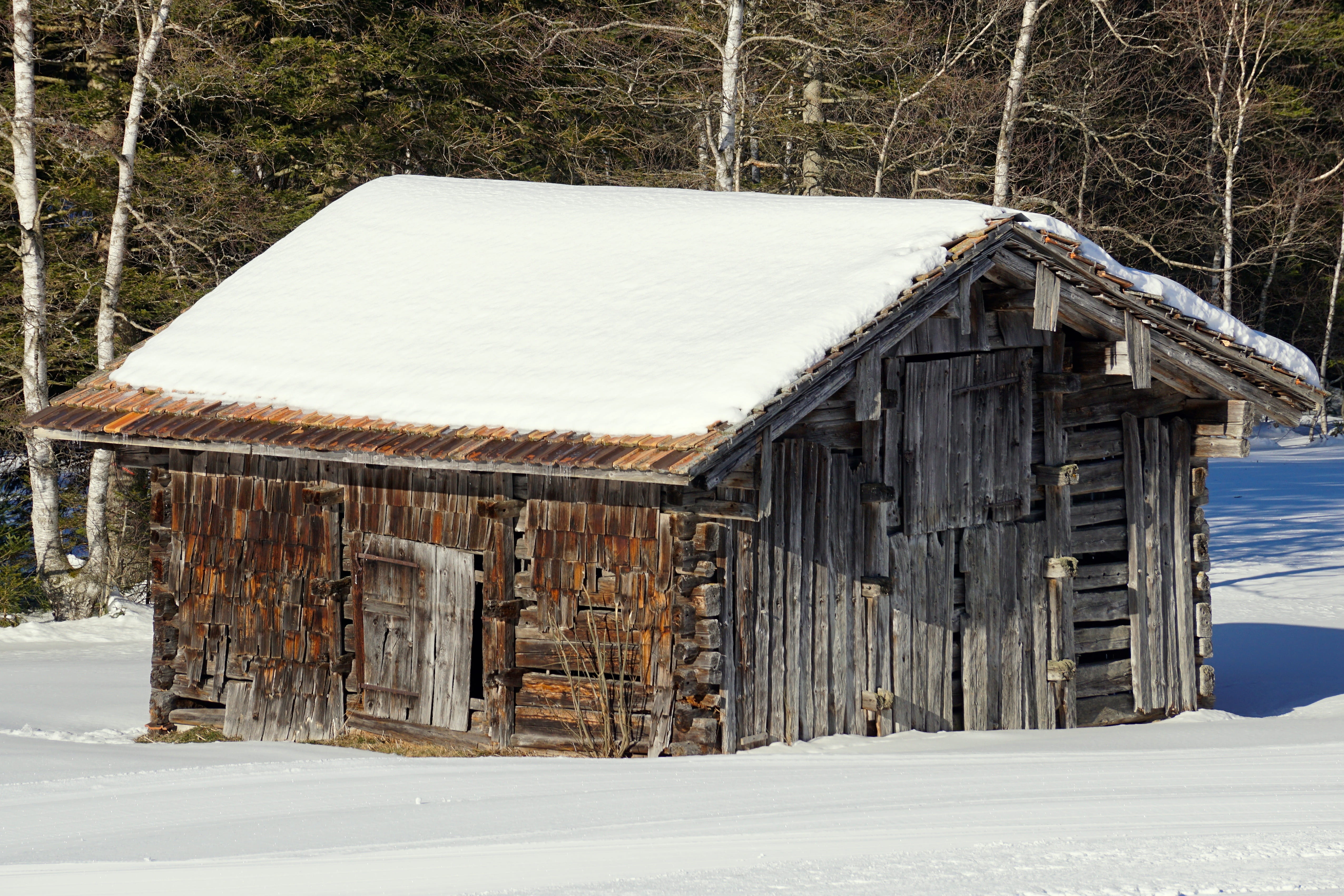 Winter, Barn, Snow, Scale, Wood, log cabin, nature, rural, old