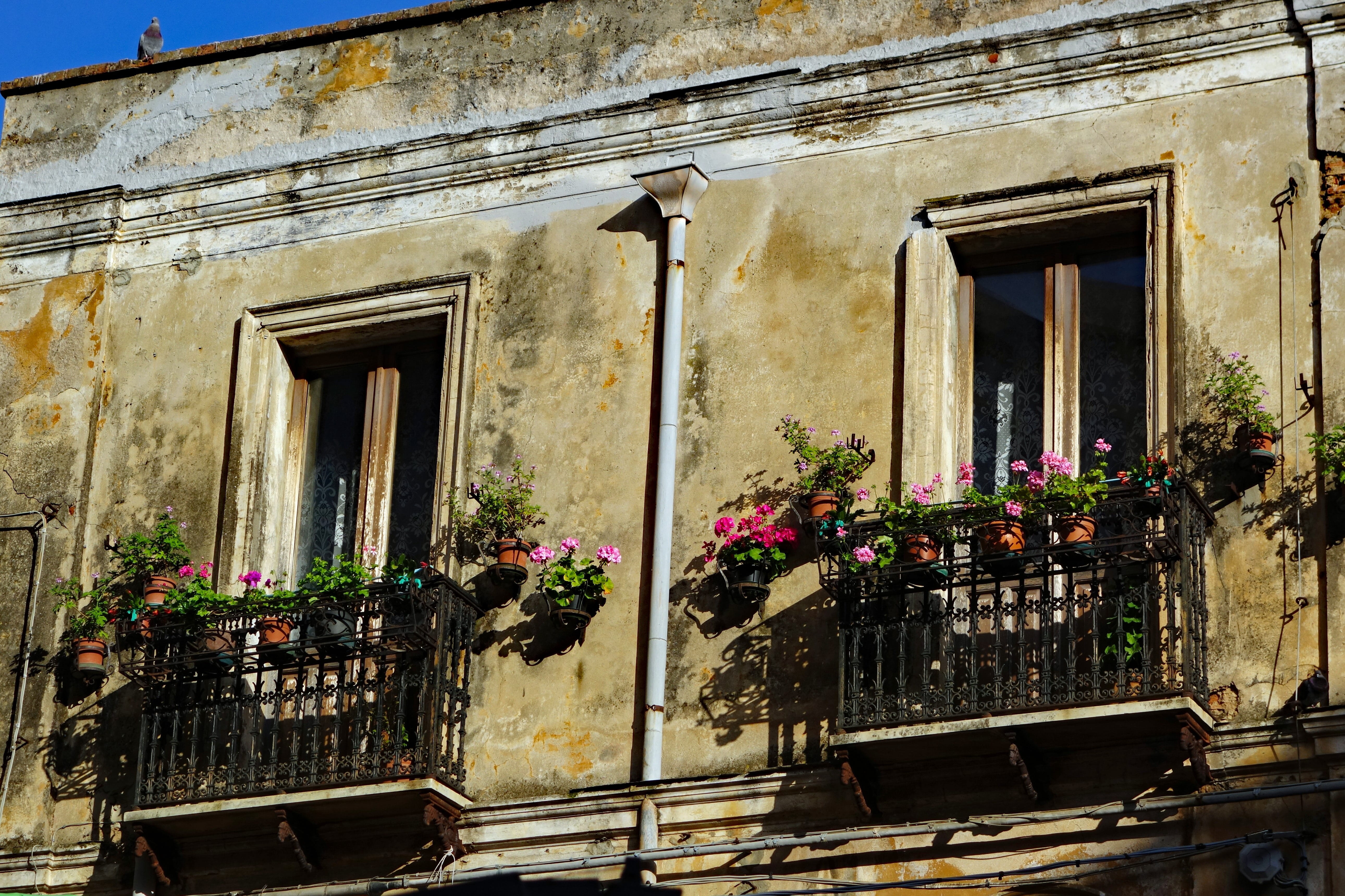 sardinia, facade, old, window, architecture, built structure