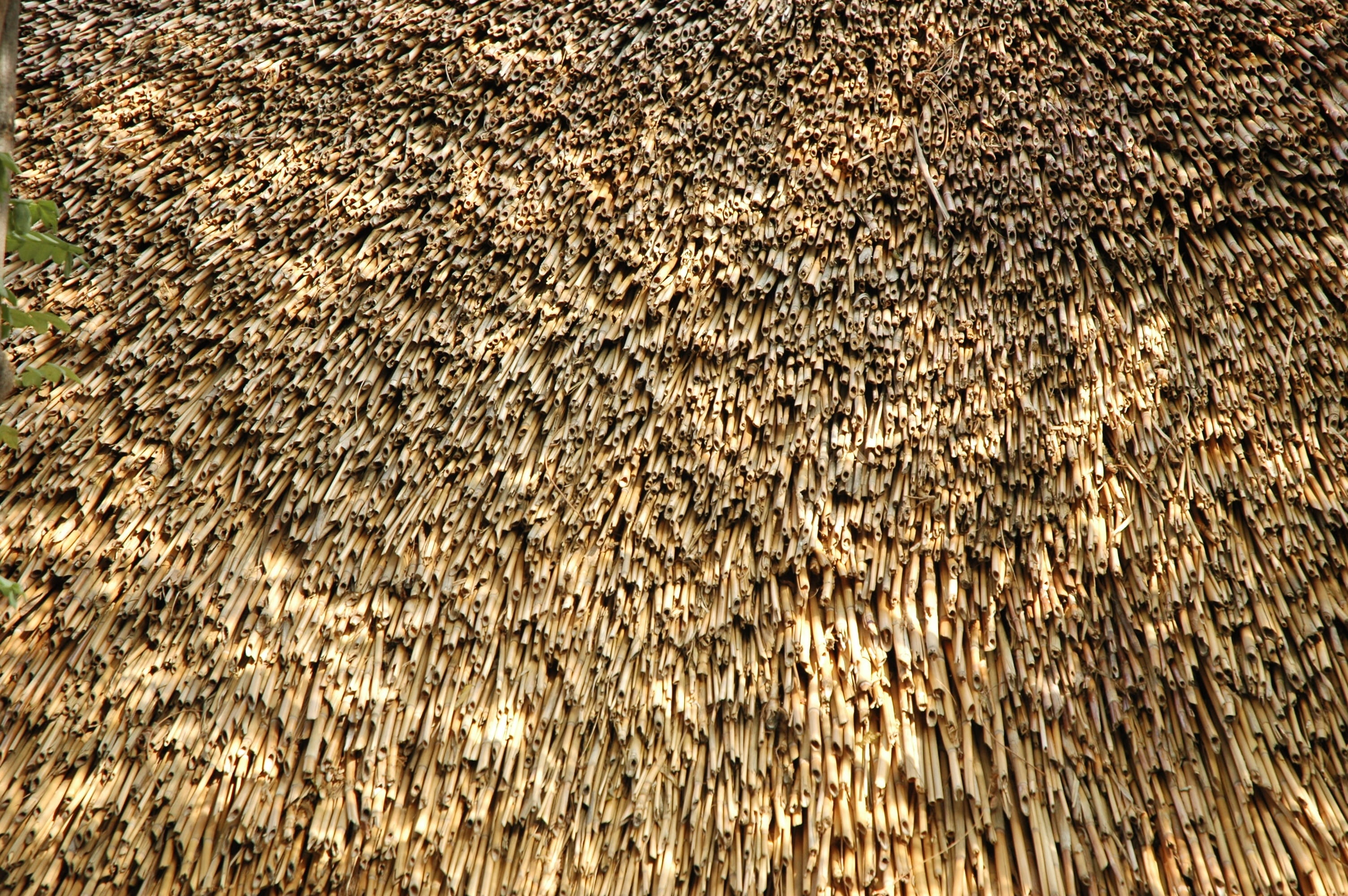 texture, hay, nature, pattern, dried up, full frame, backgrounds
