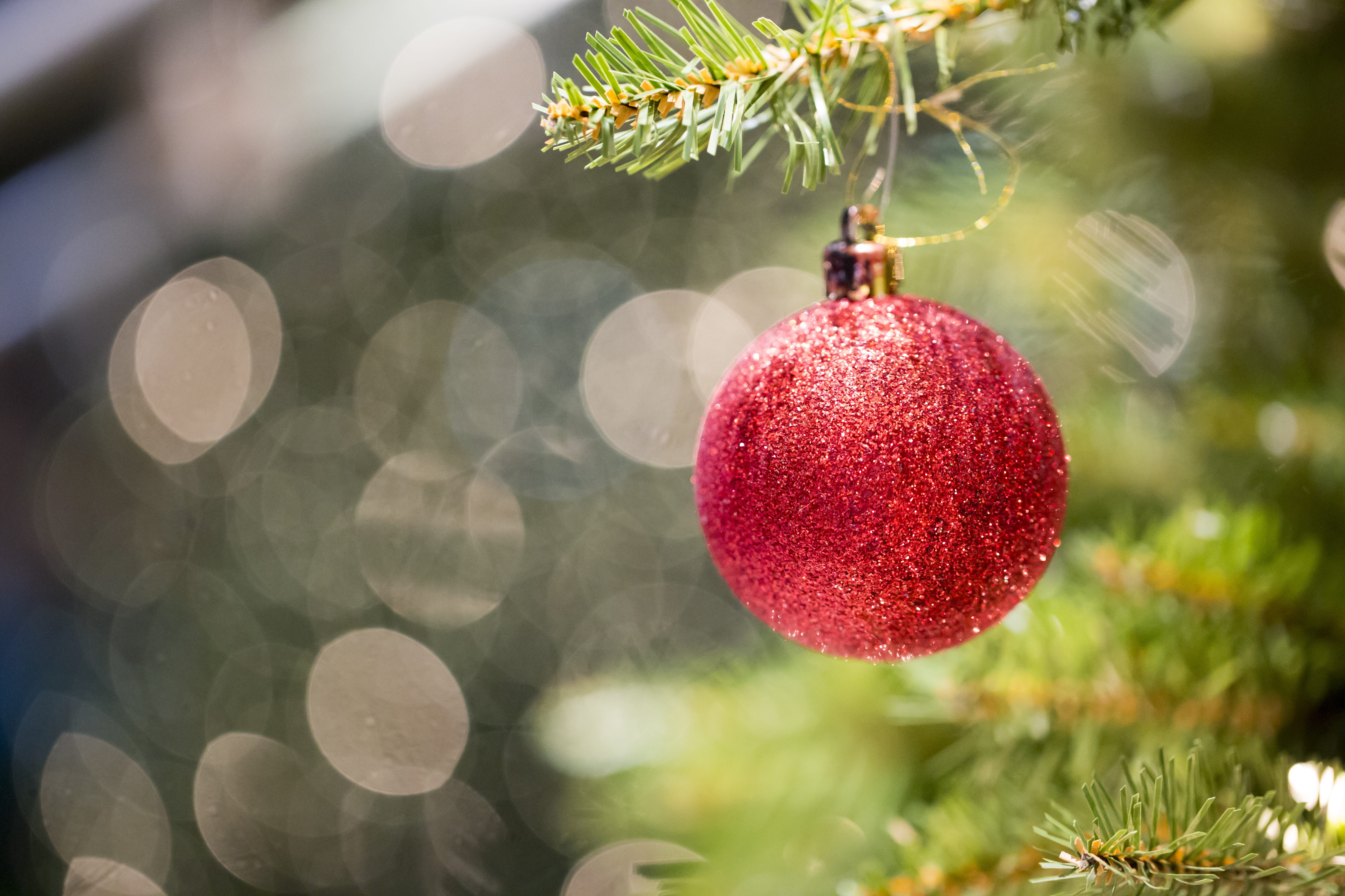 selective focus bokeh photography of hanging red bauble, christmas