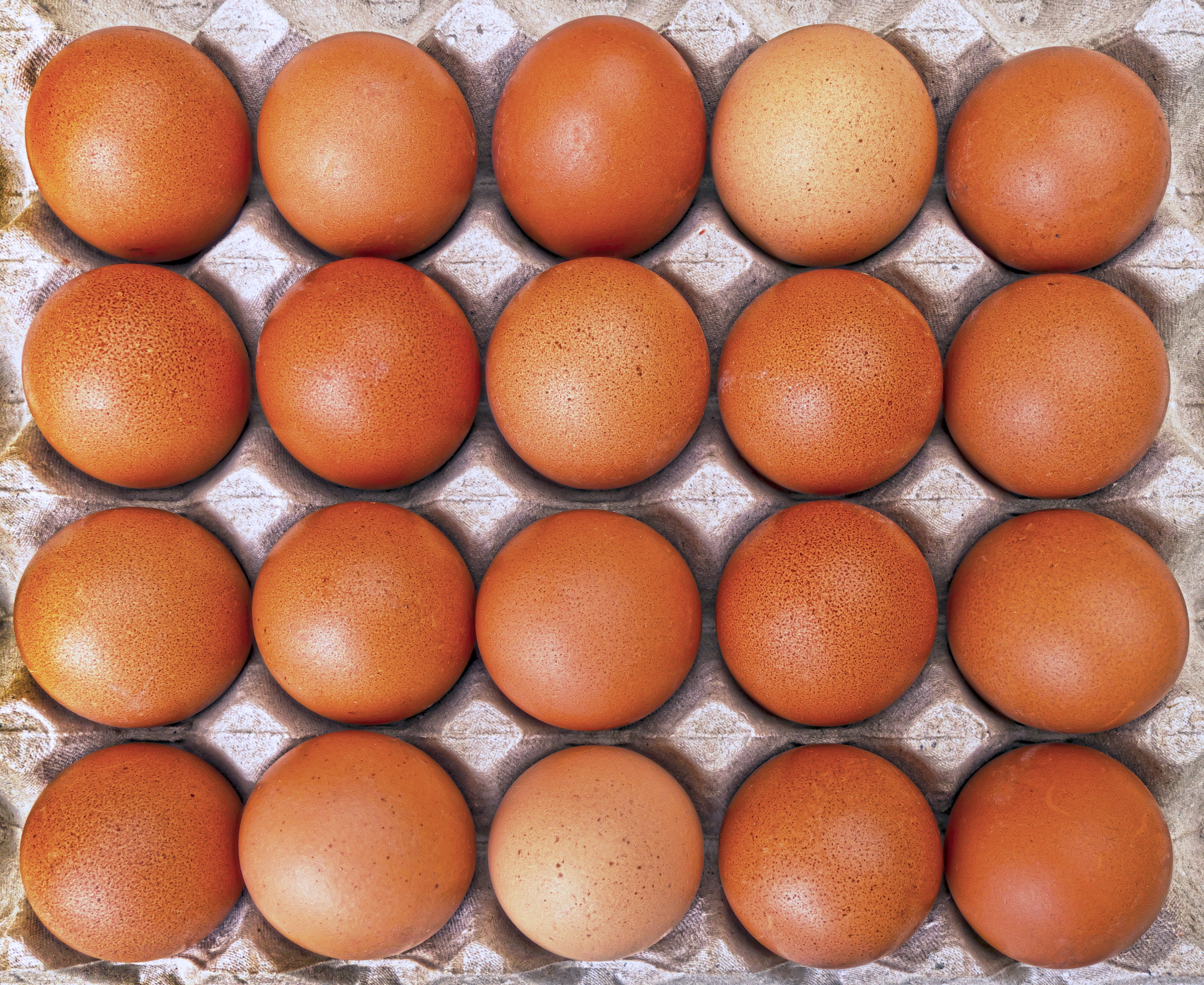 tray of organic eggs, range eggs, lots of eggs, loose, geflügelhof