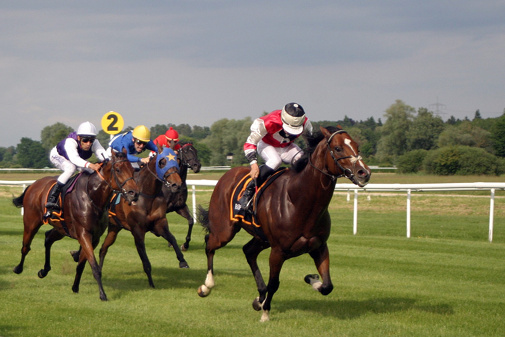 horse racing during daytime, jockey, iffezheim, baden baden, racehorse