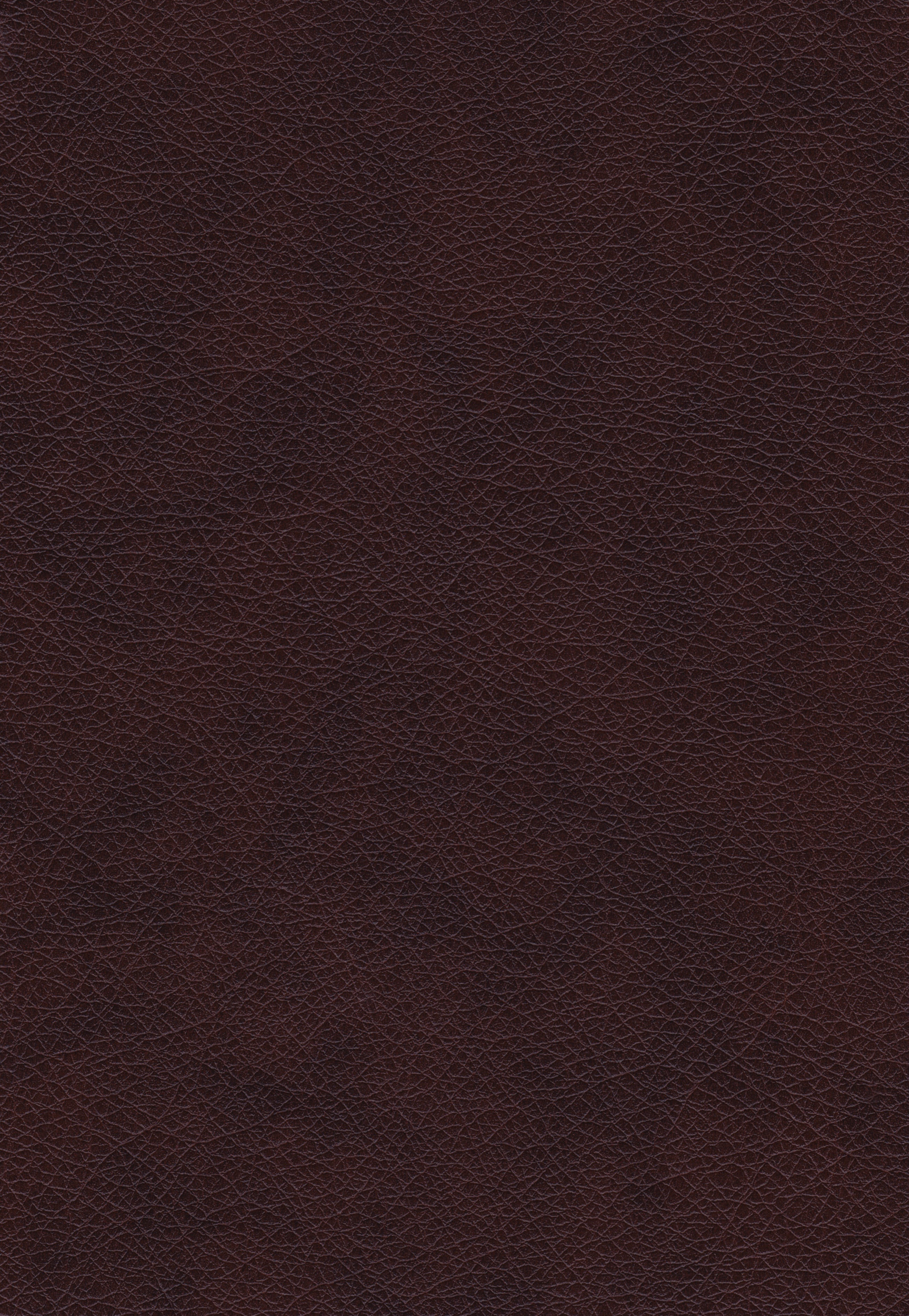 leather, textures, background, fabric, raw, decor, material, pattern