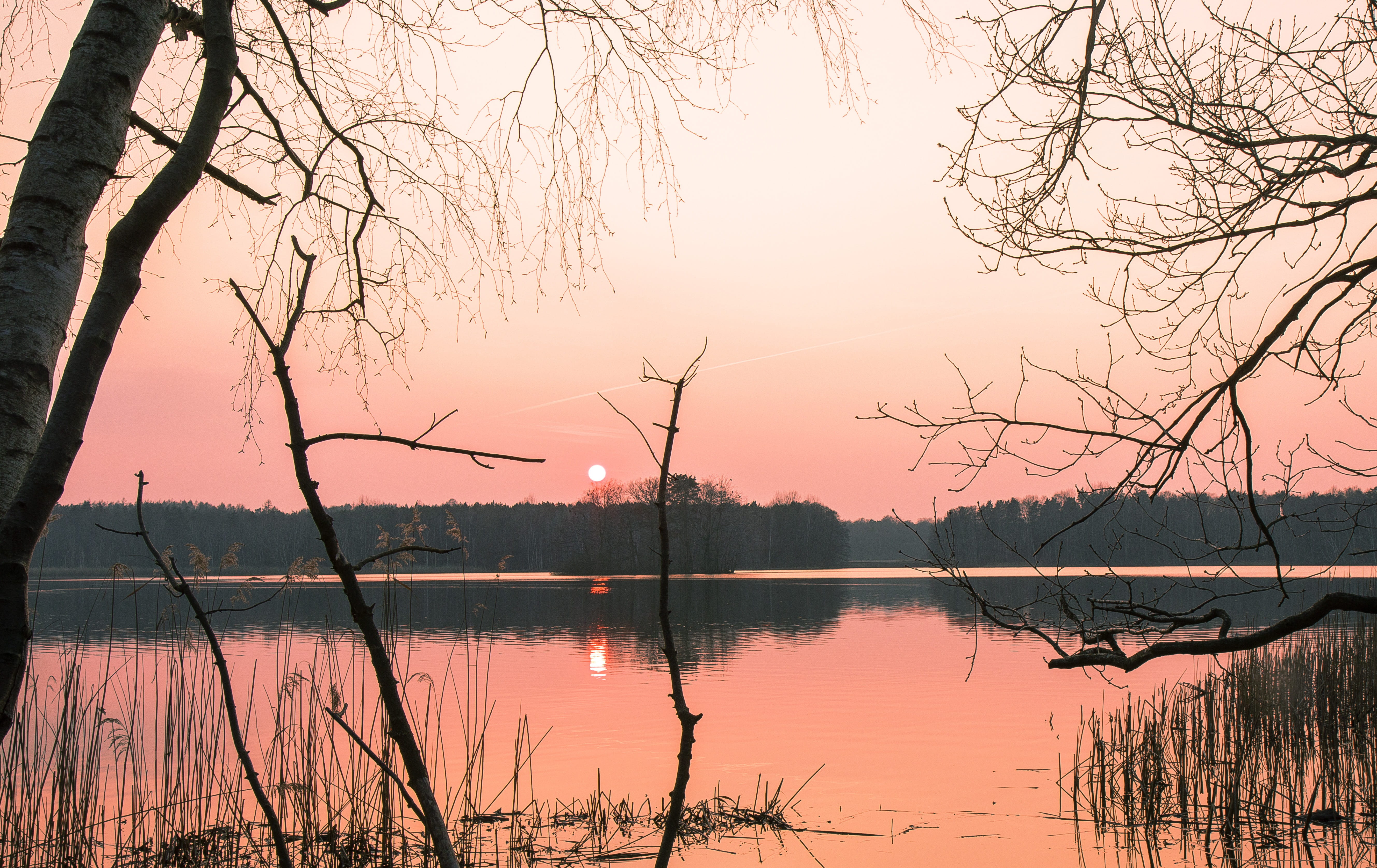 waters, nature, dawn, tree, reflection, sunset, sky, lake, tranquility