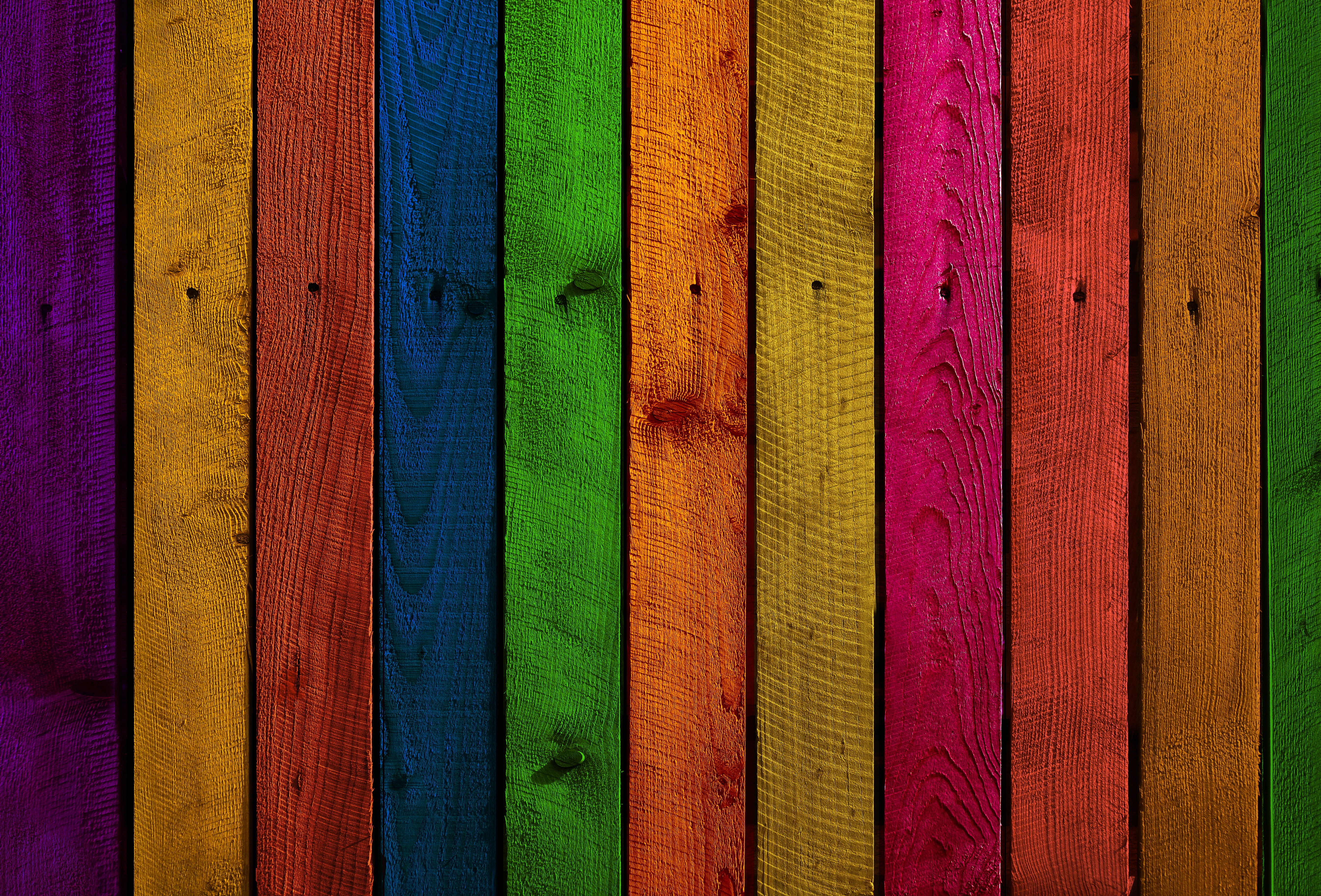 multicolored wooden fence, boards, branches, spruce, spruce wood