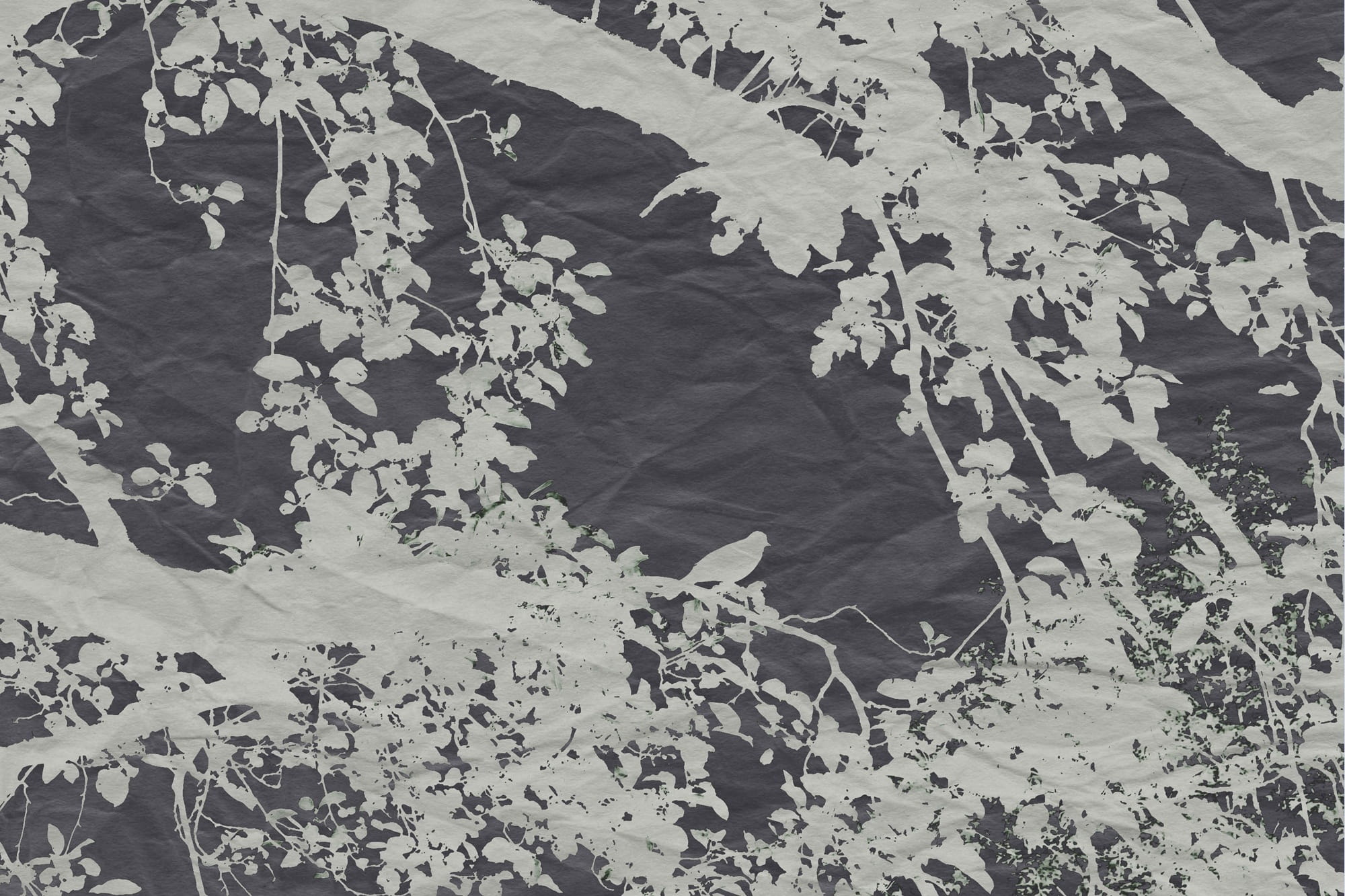 veiling, effect, bird, branch, vector, nature, tree, branches