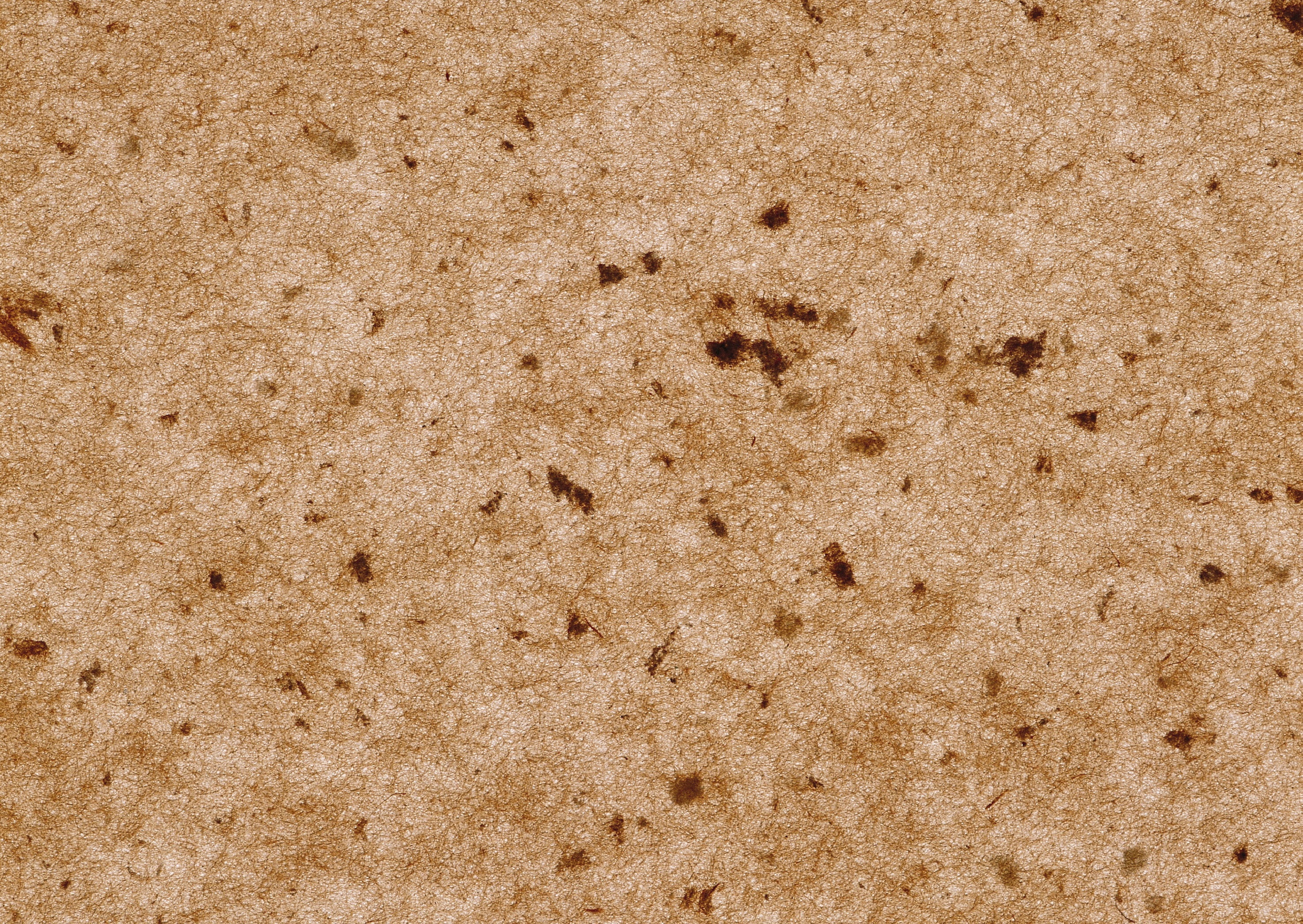 cork, texture, brown, background, backgrounds, textured, pattern