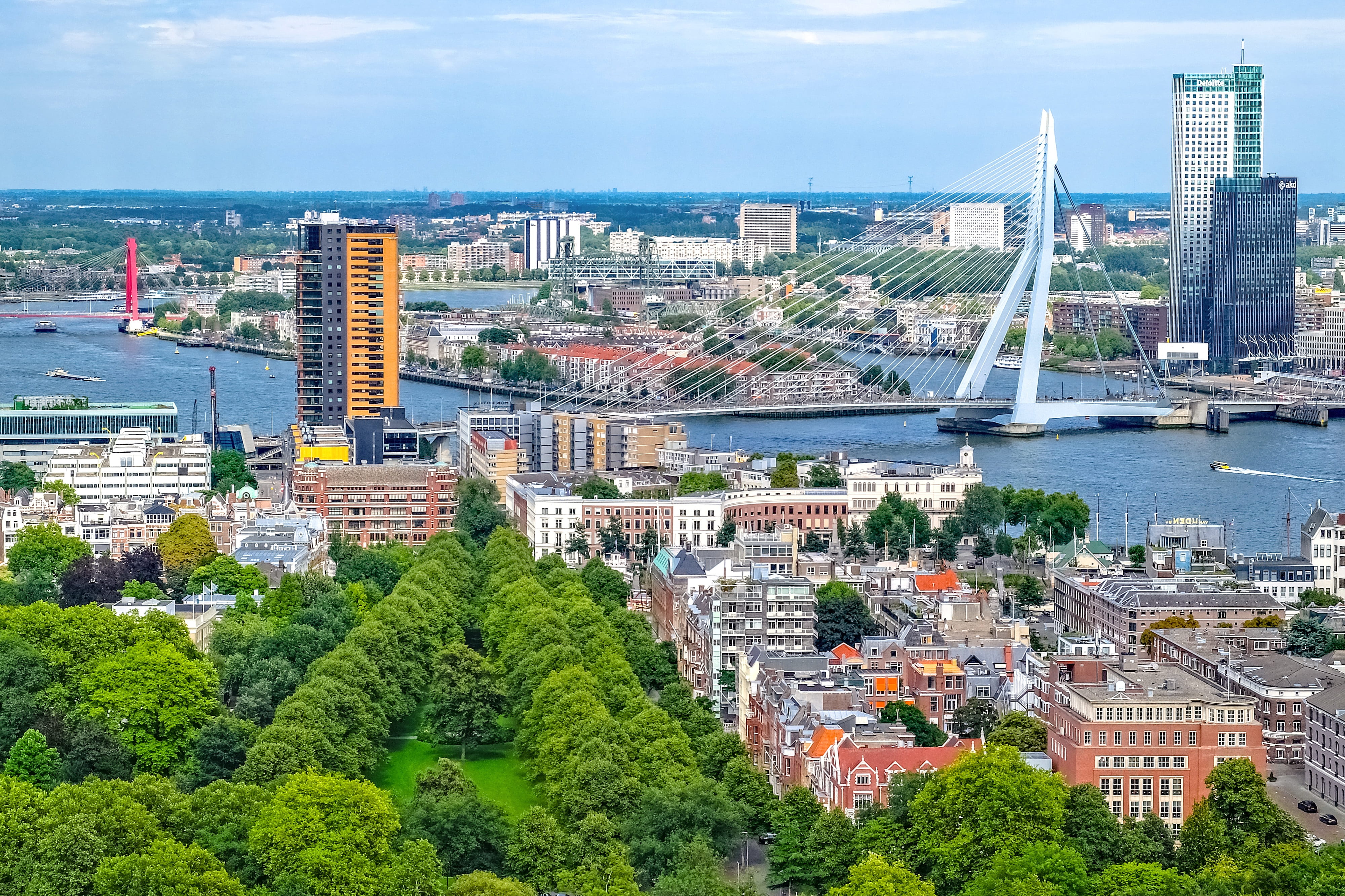 aerial view of trees, city, cityscape, bridge, building, tower