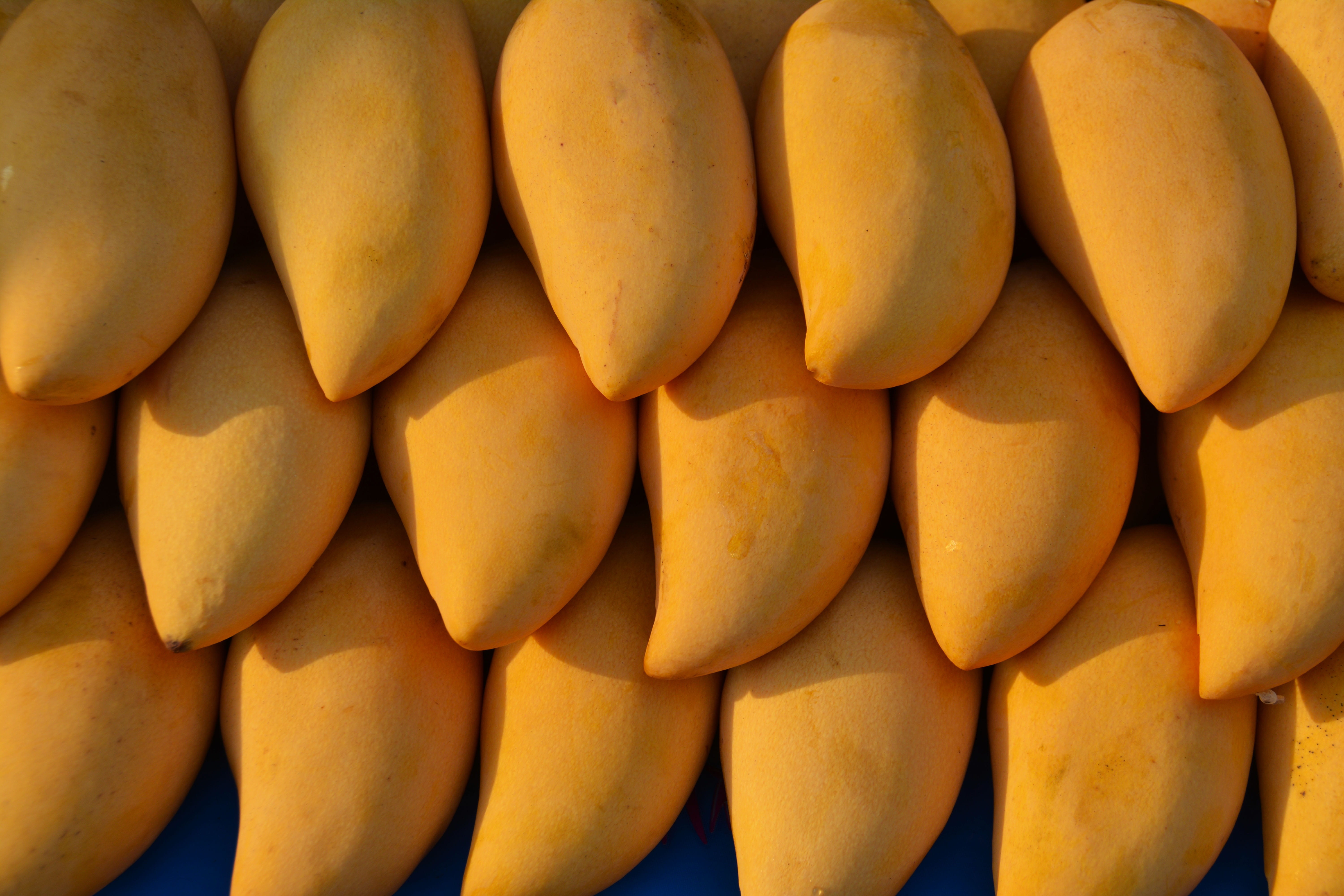 close view of three stacks of yellow mango fruit, mangoes, food