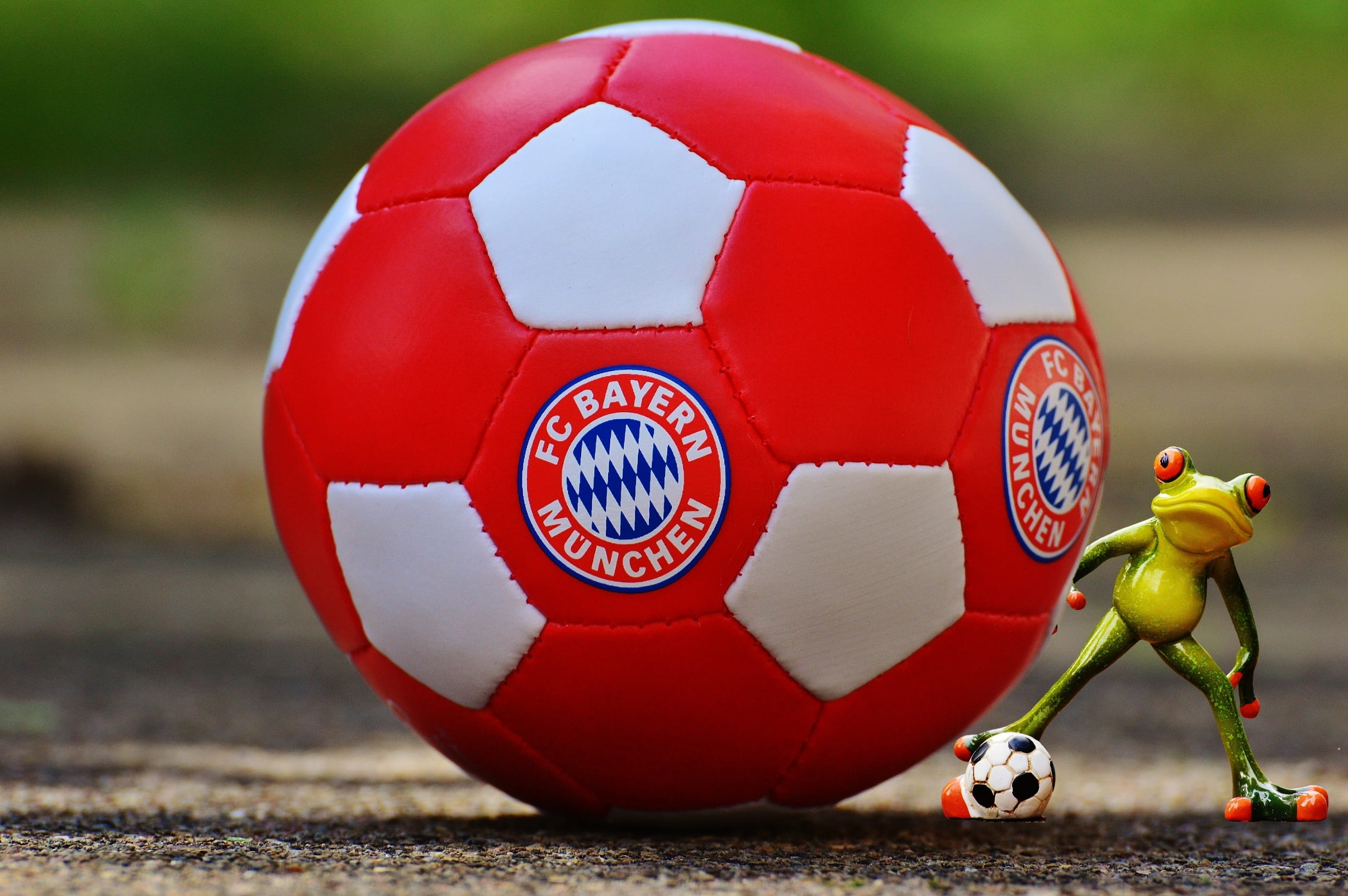 red and white FC Bayern Munchen football and frog figurine, bayern munich