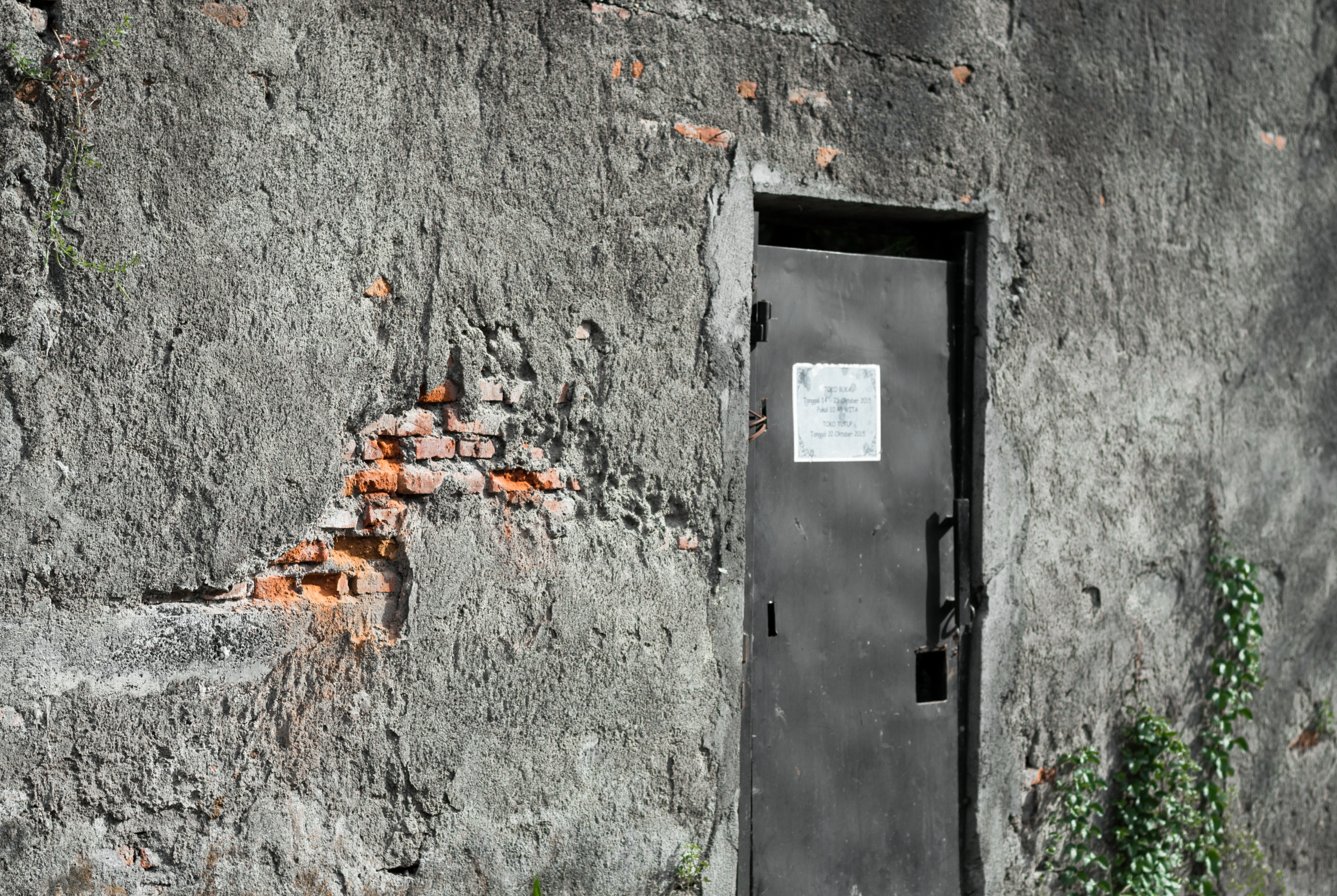 wall, texture, brick, wall - building feature, built structure