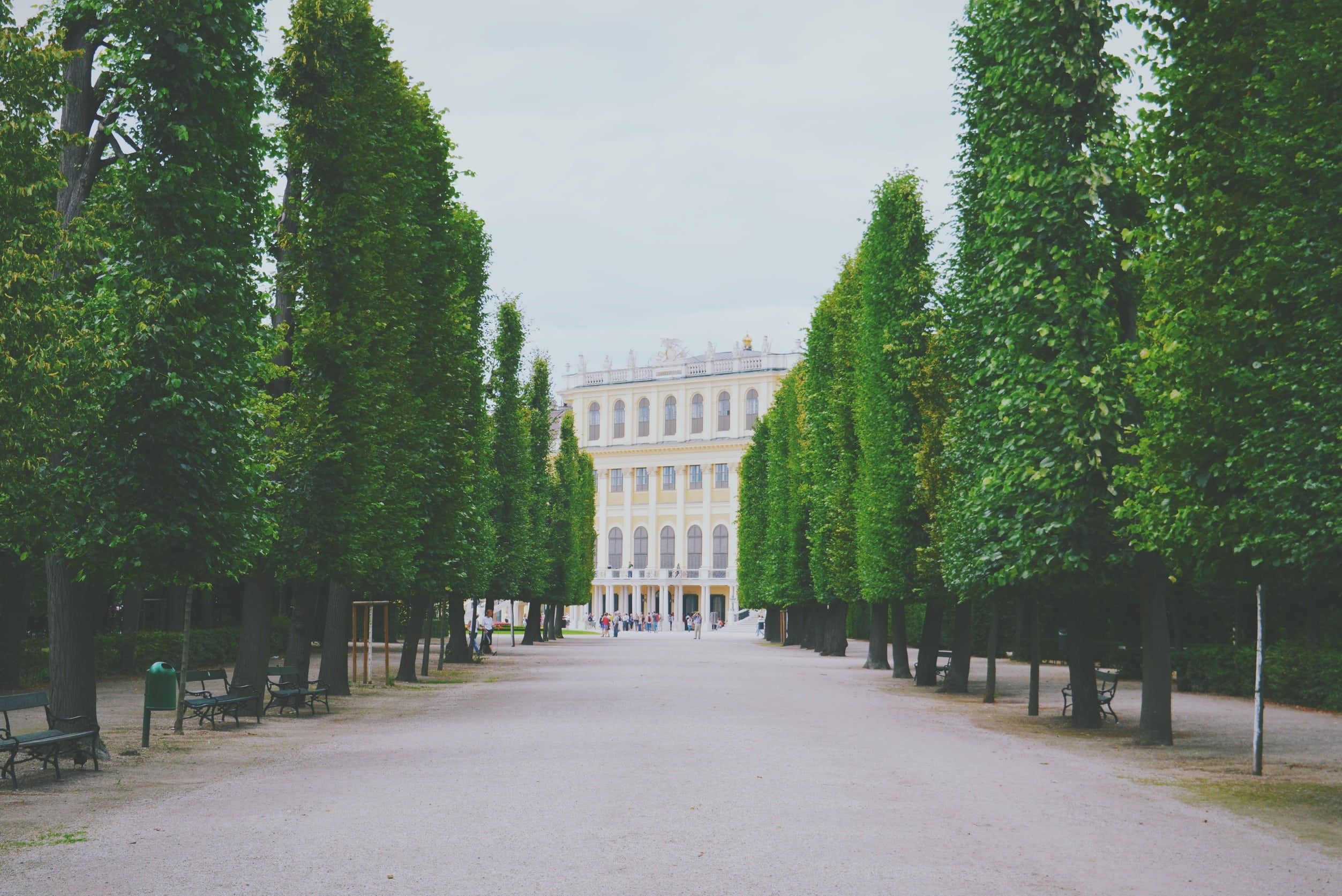 path, pavement, benches, trees, shrubs, building, architecture
